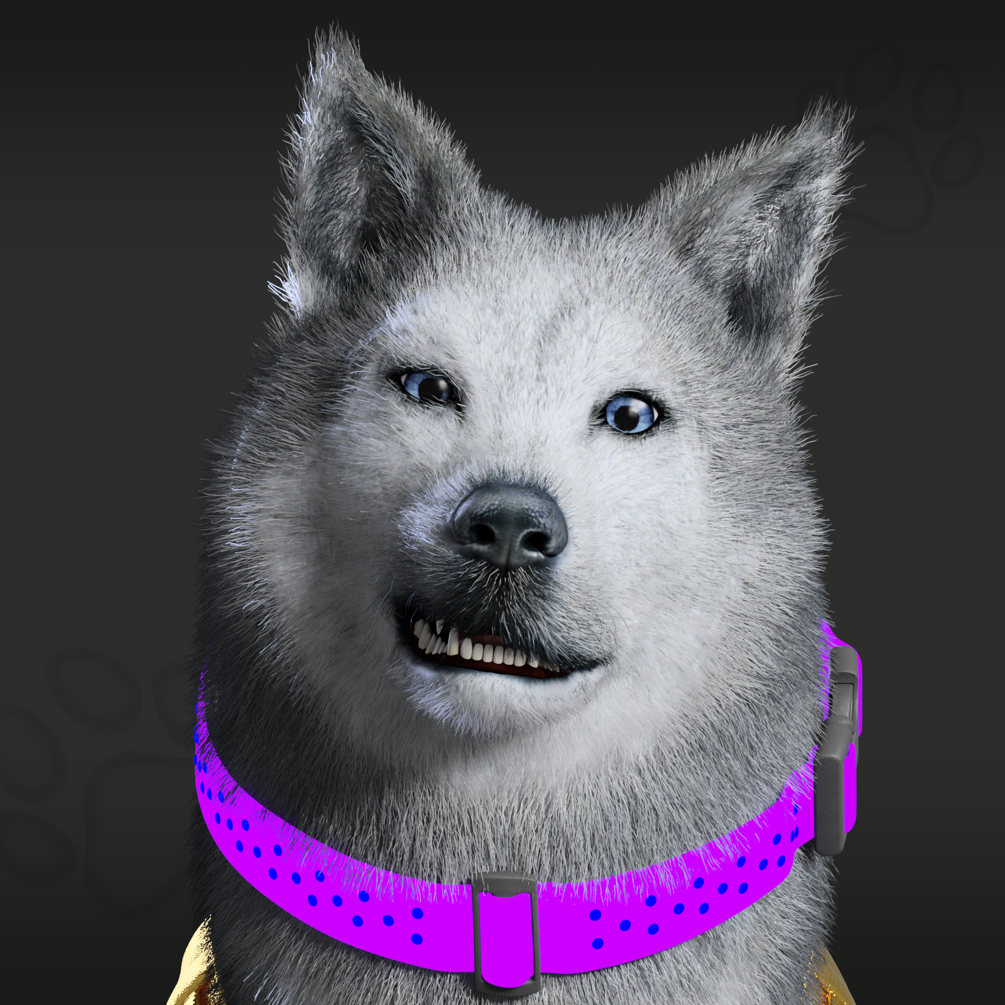 NFPet #2590