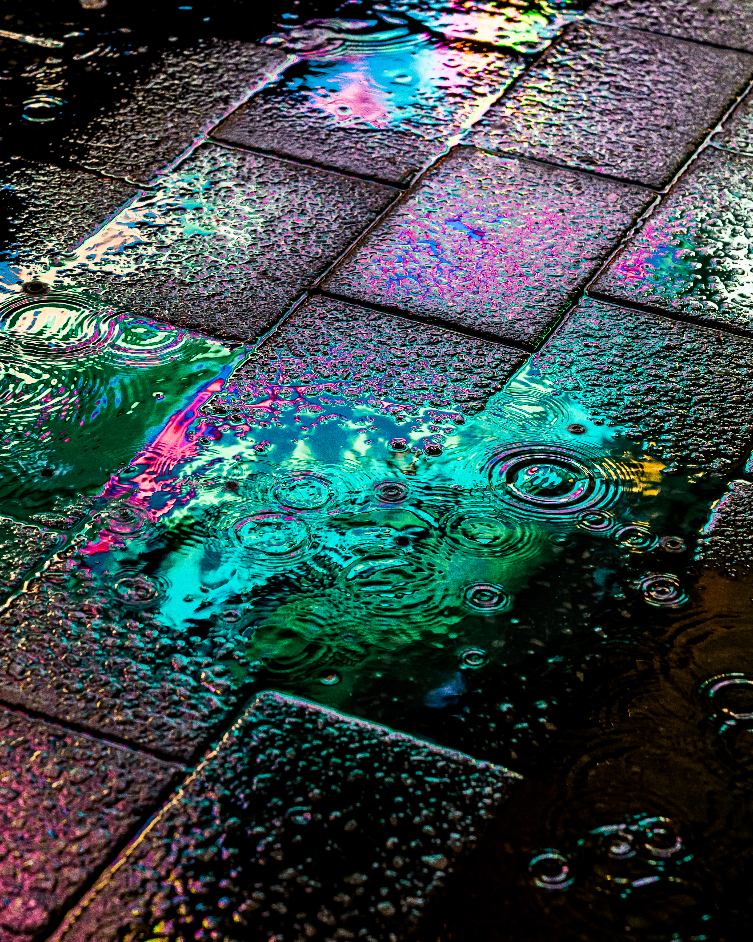 DRIP #5: WAVE