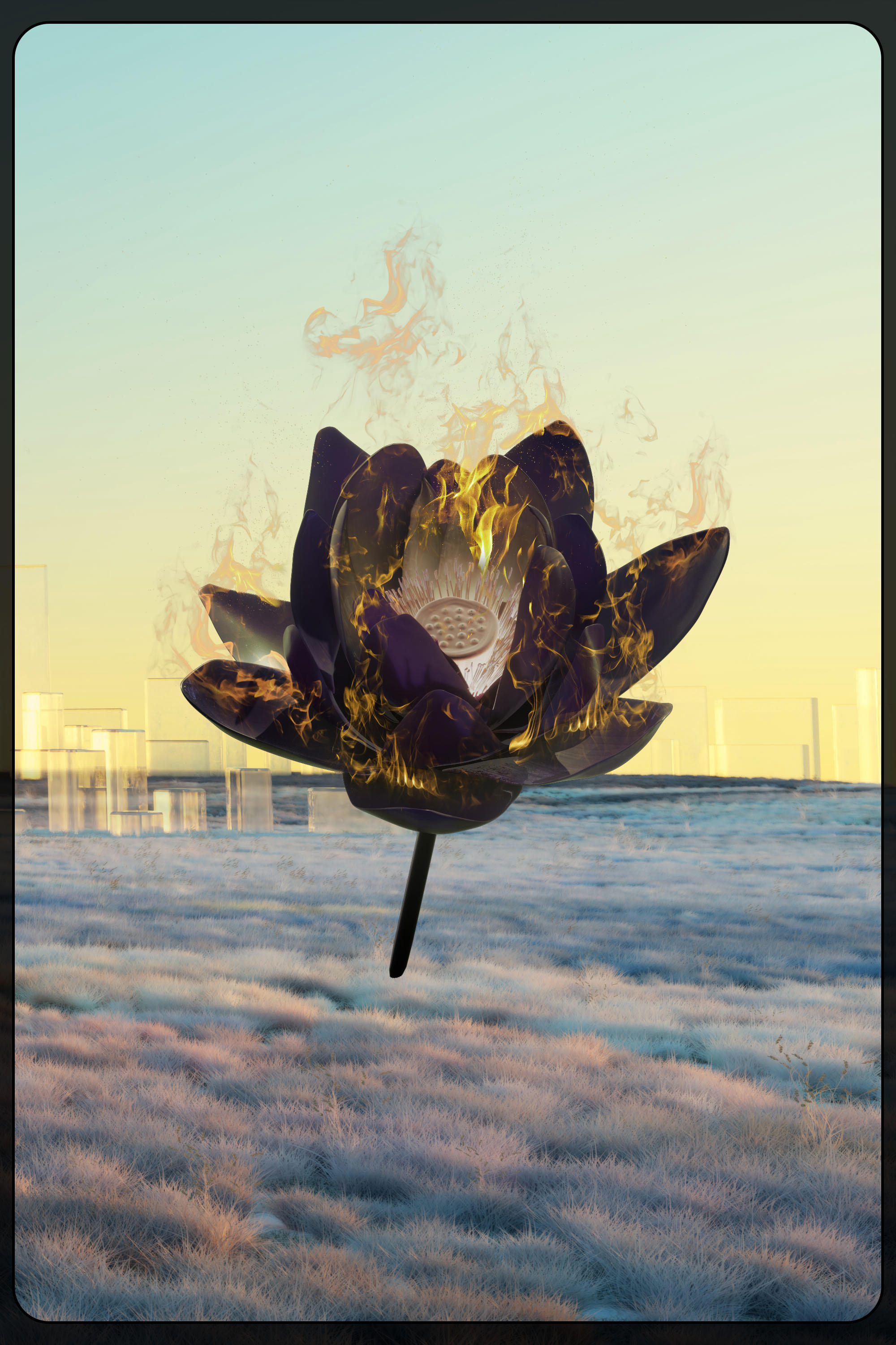 Lotus 589