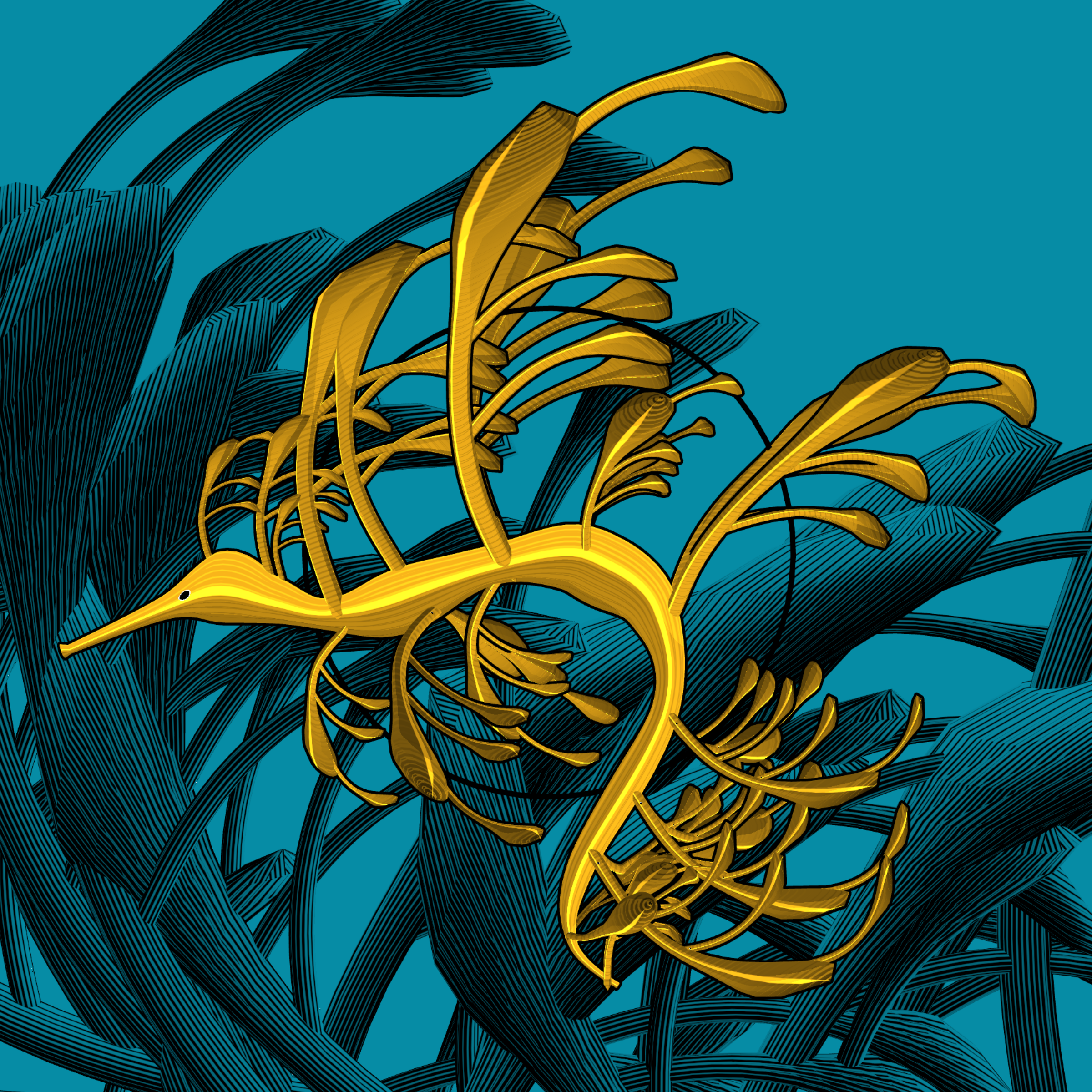 Seadragons #660