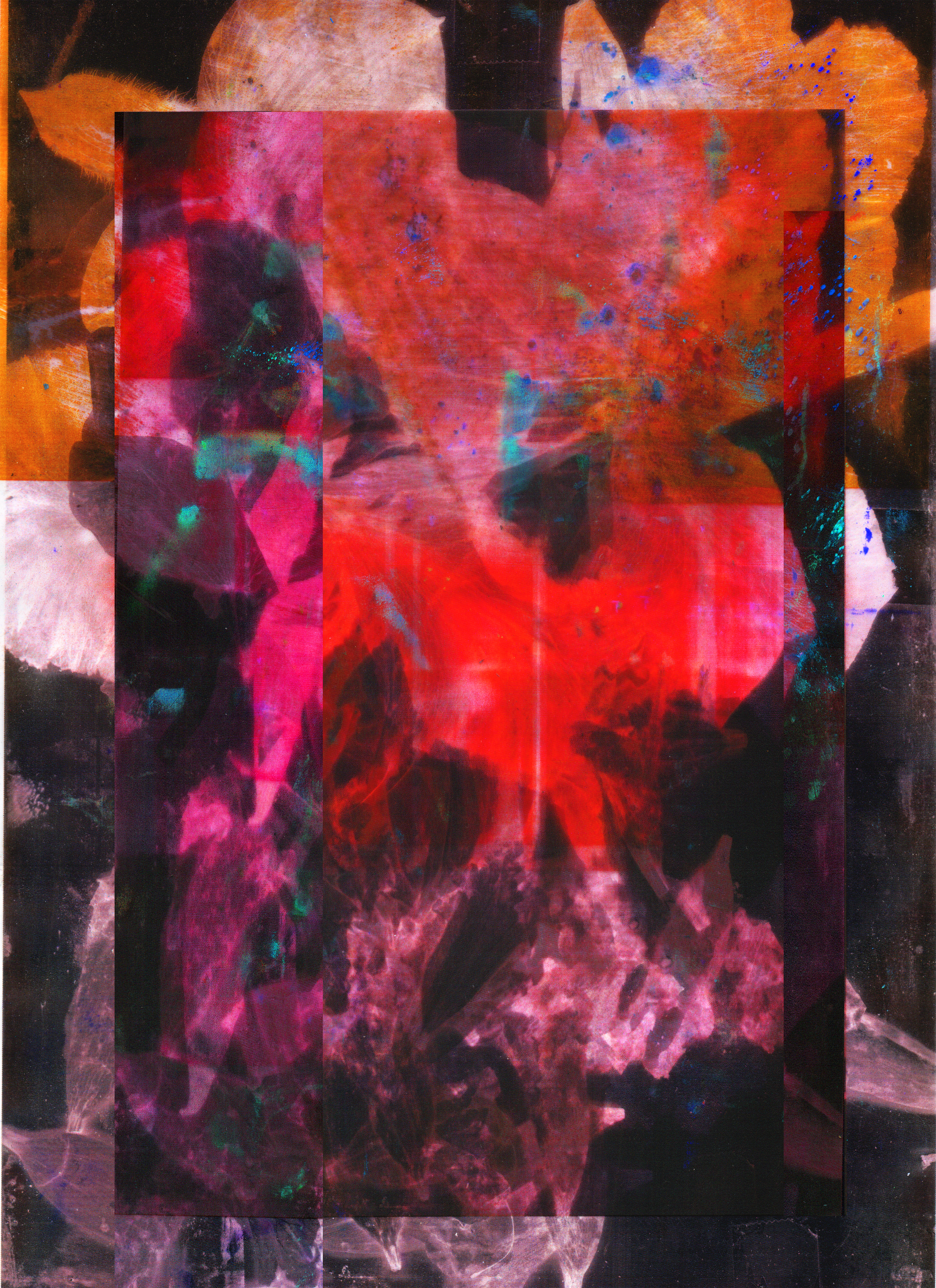 Dead Flowers II