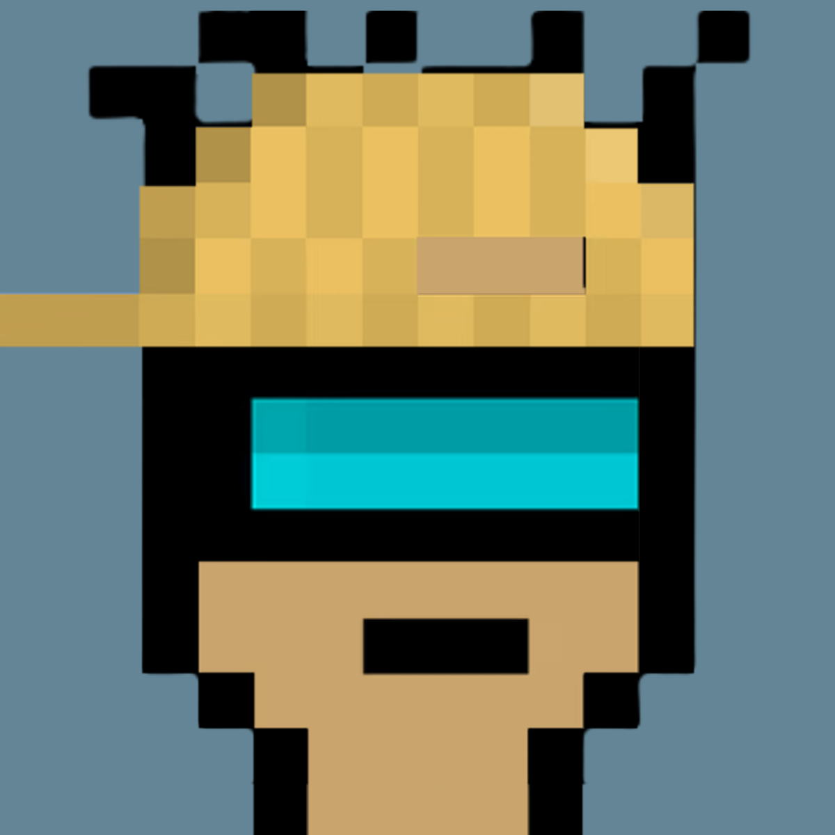Nakamigo Punks #2840