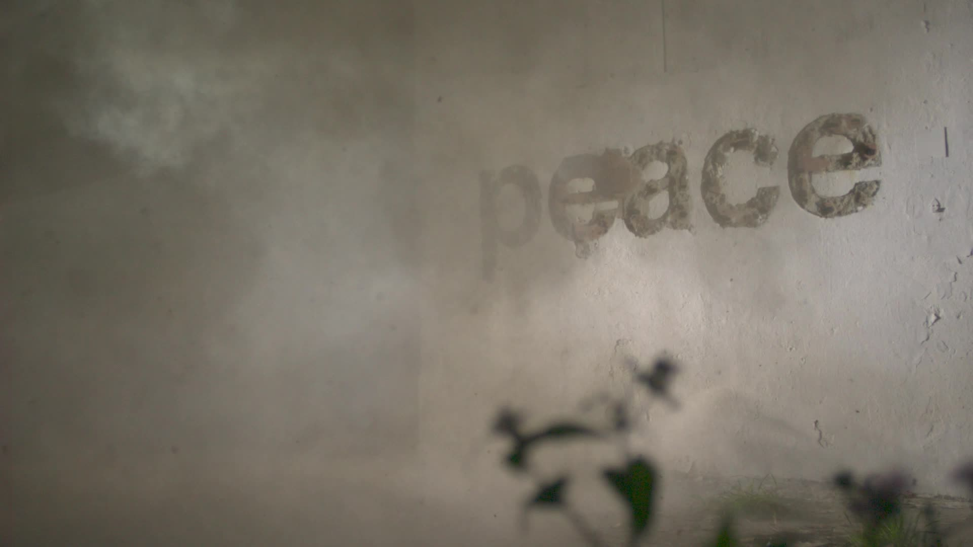 PEACE #27/193