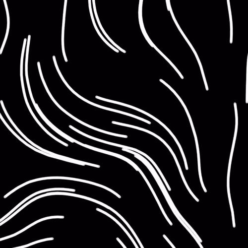 Primary Fields #071