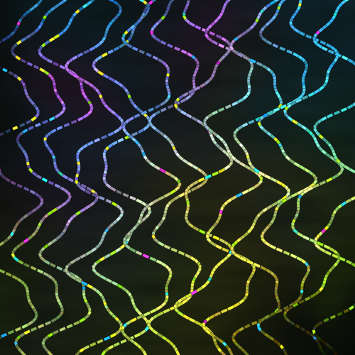 Databars 269