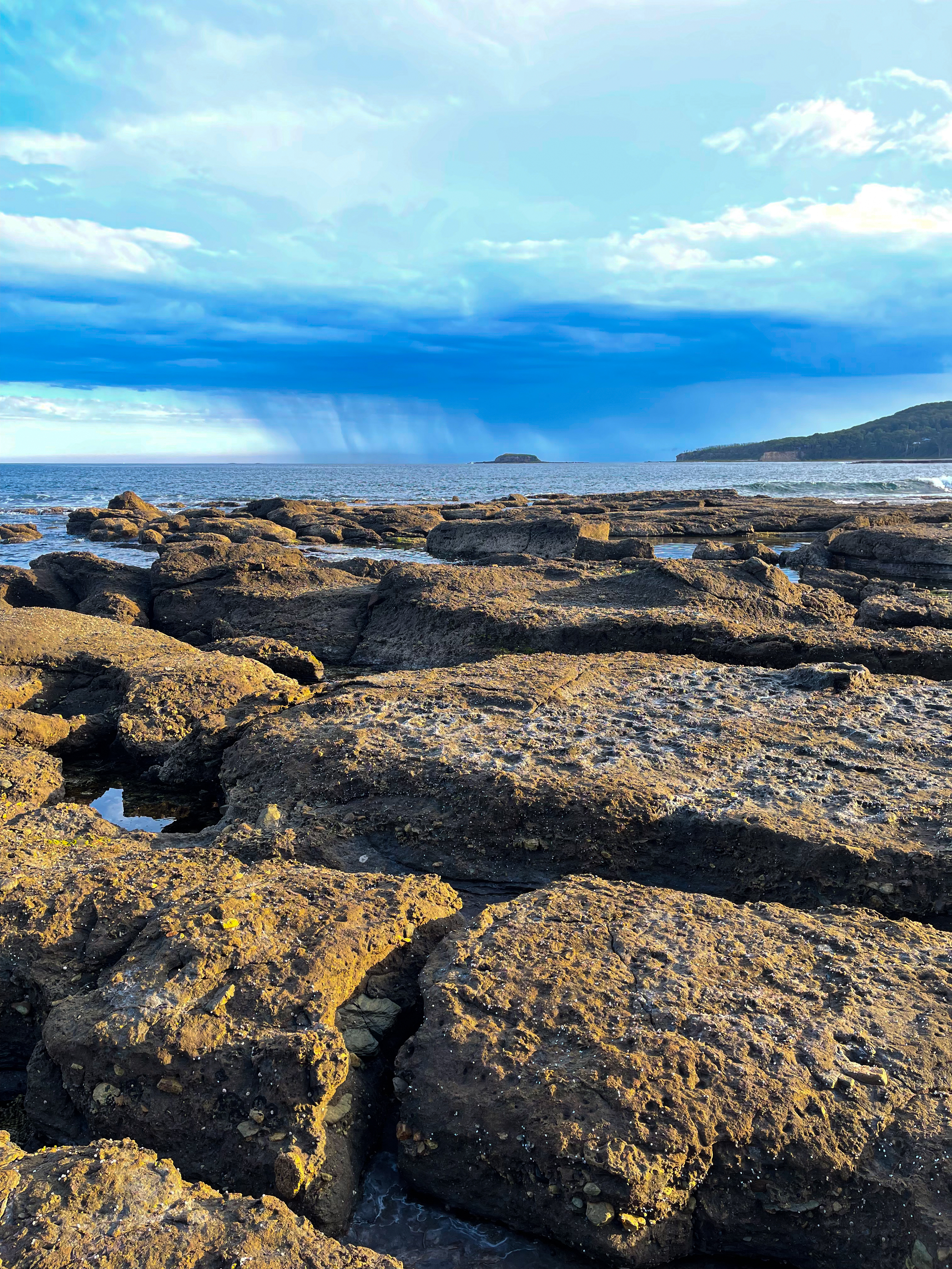 Wild Australia #19
