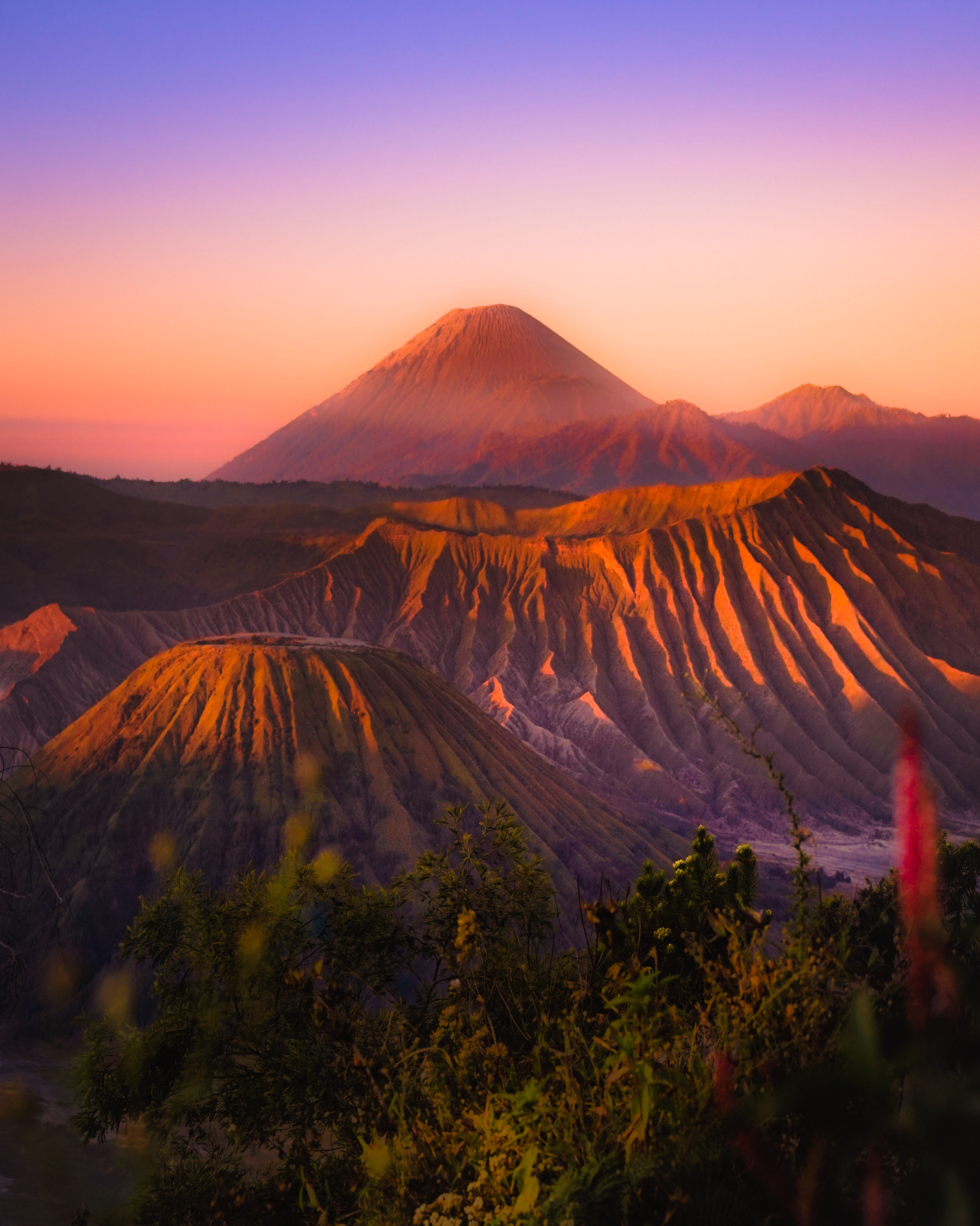 Rise and Shine #2/389