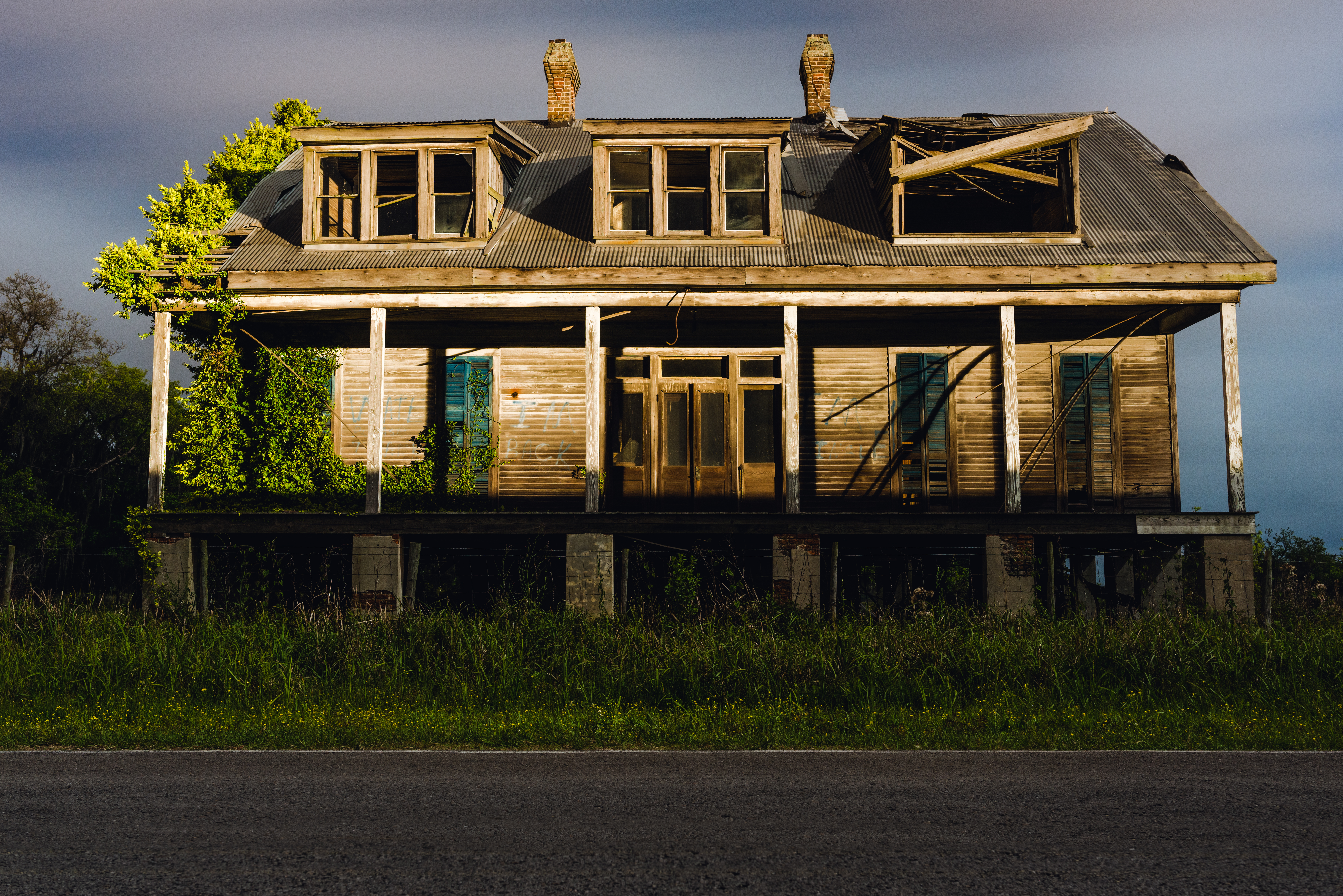 Harlem Plantation