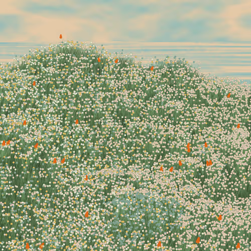 Superbloom #1
