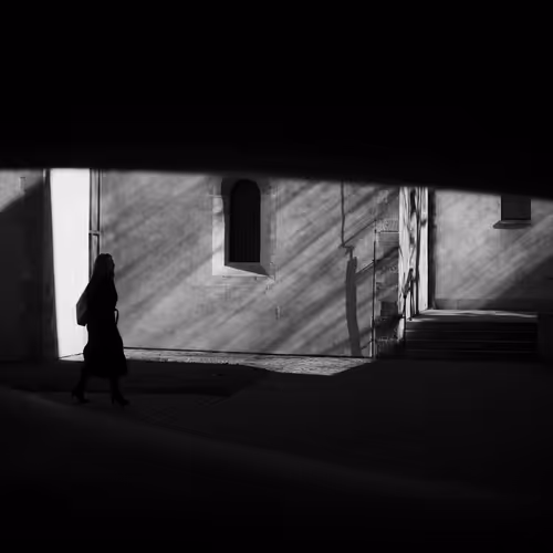 frame viii