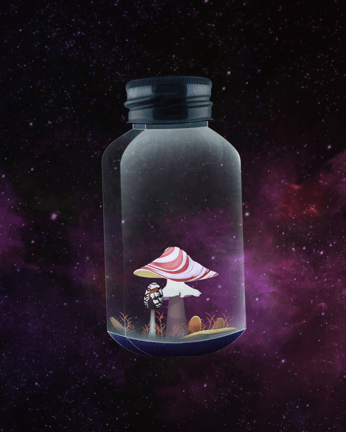 Mushroom #2693