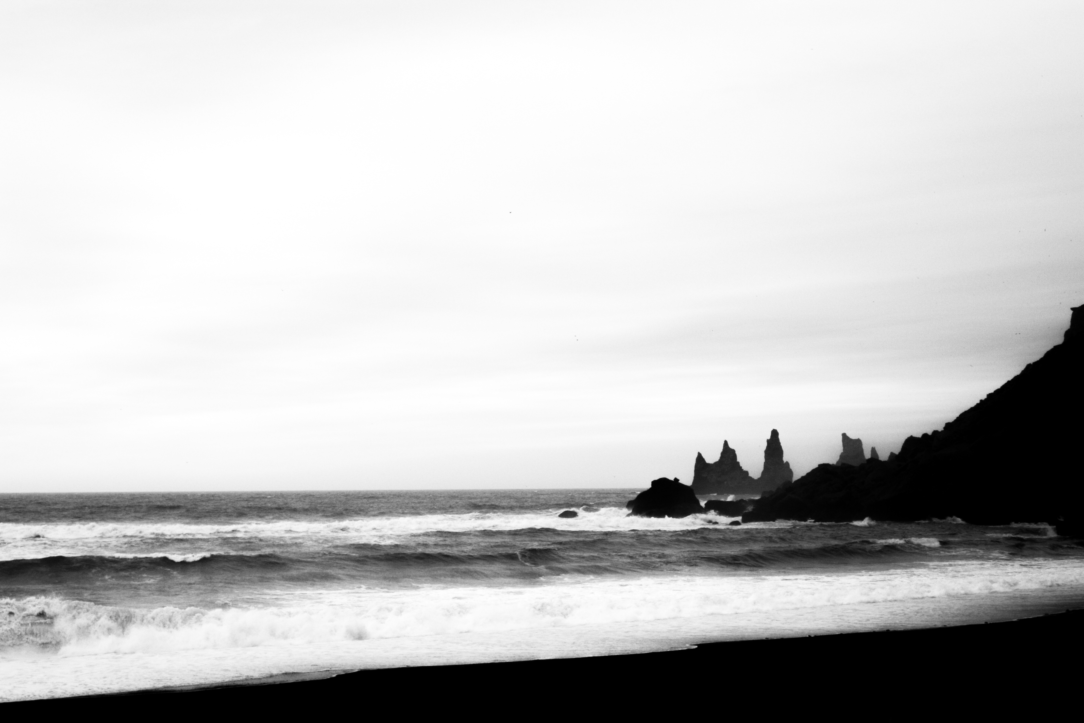 Black & White C