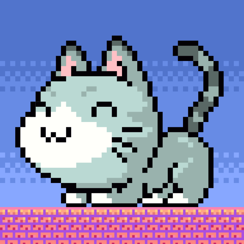 Catxoxo #2204