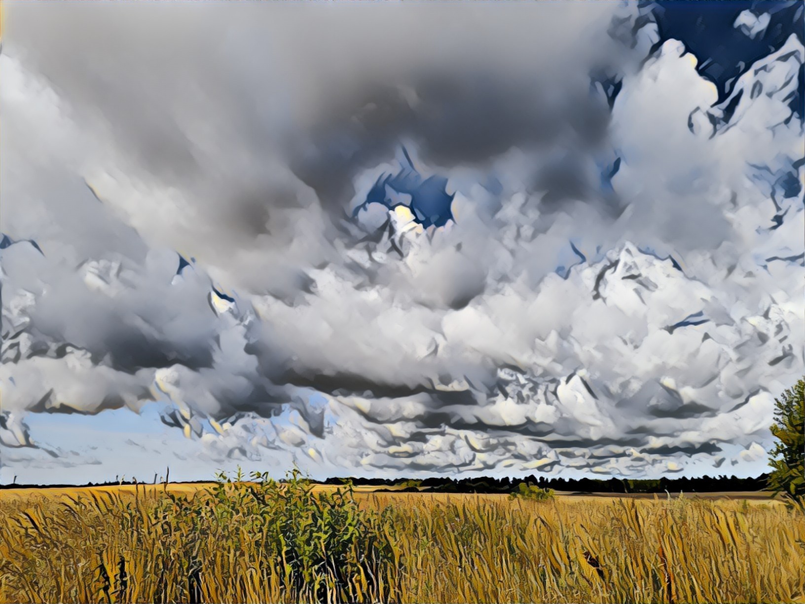 Sky
