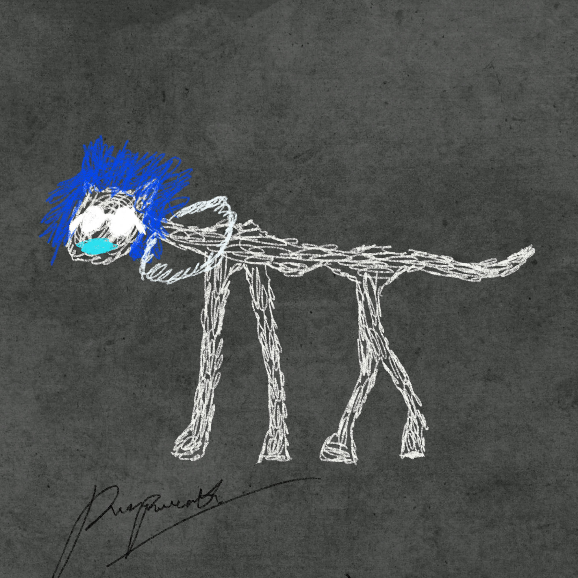 Pettametti #295