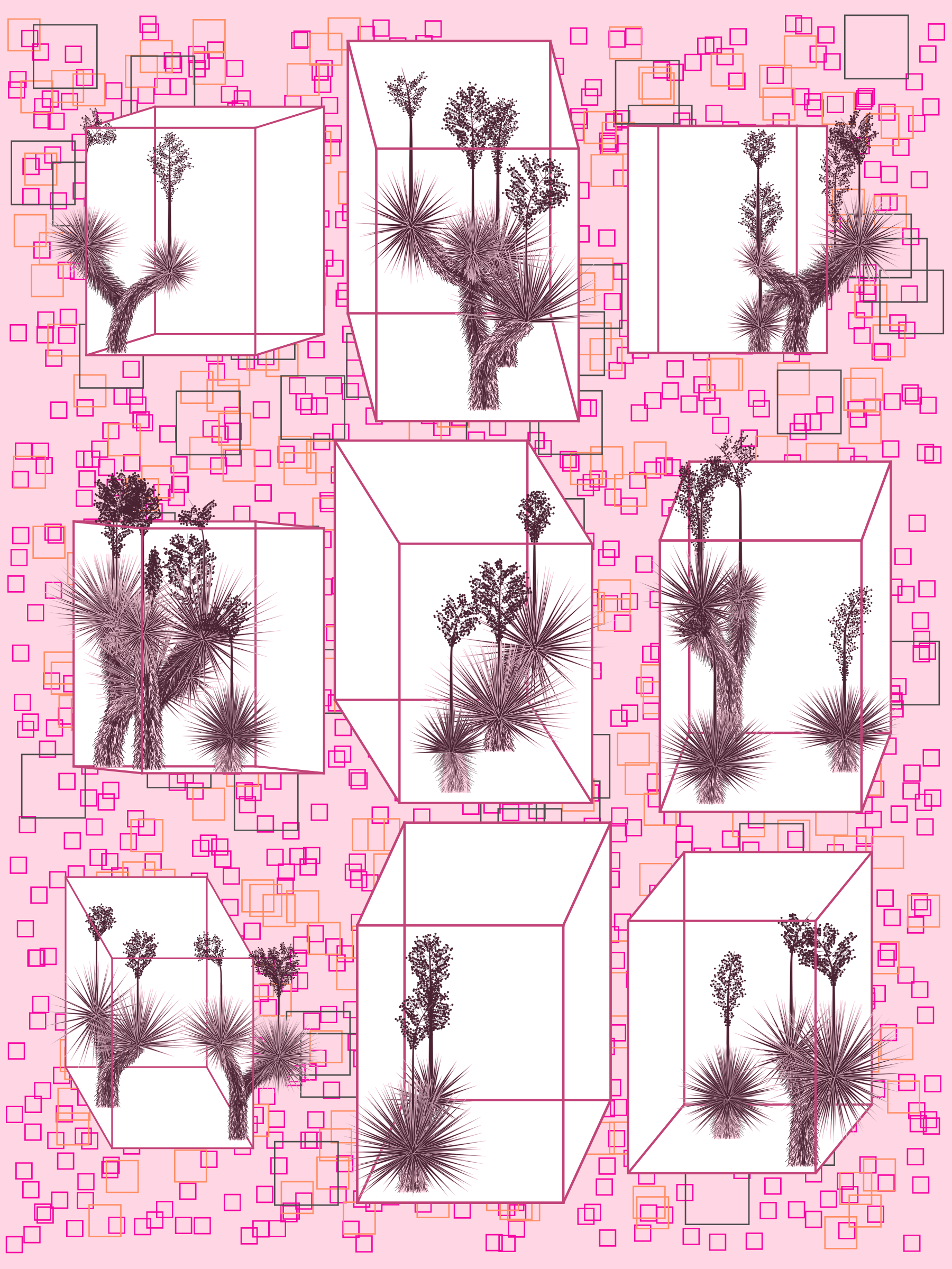 Marfa Yucca #58