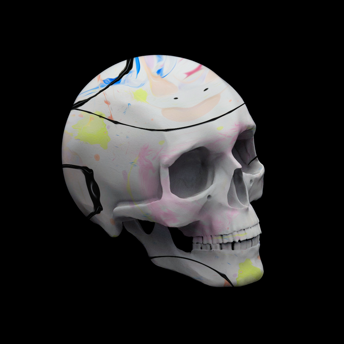 Skulls By Pierre #66
