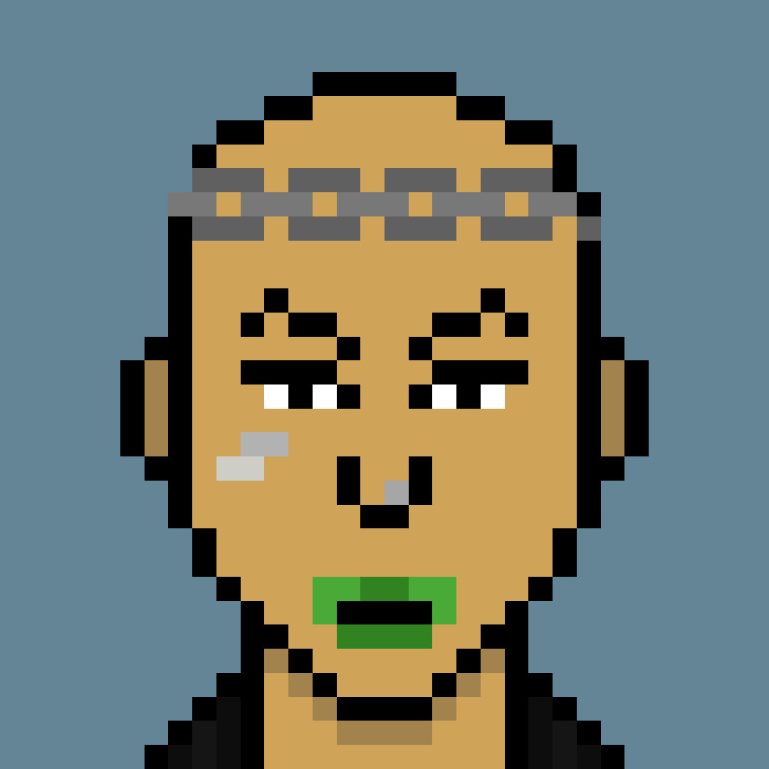 Punker #9738