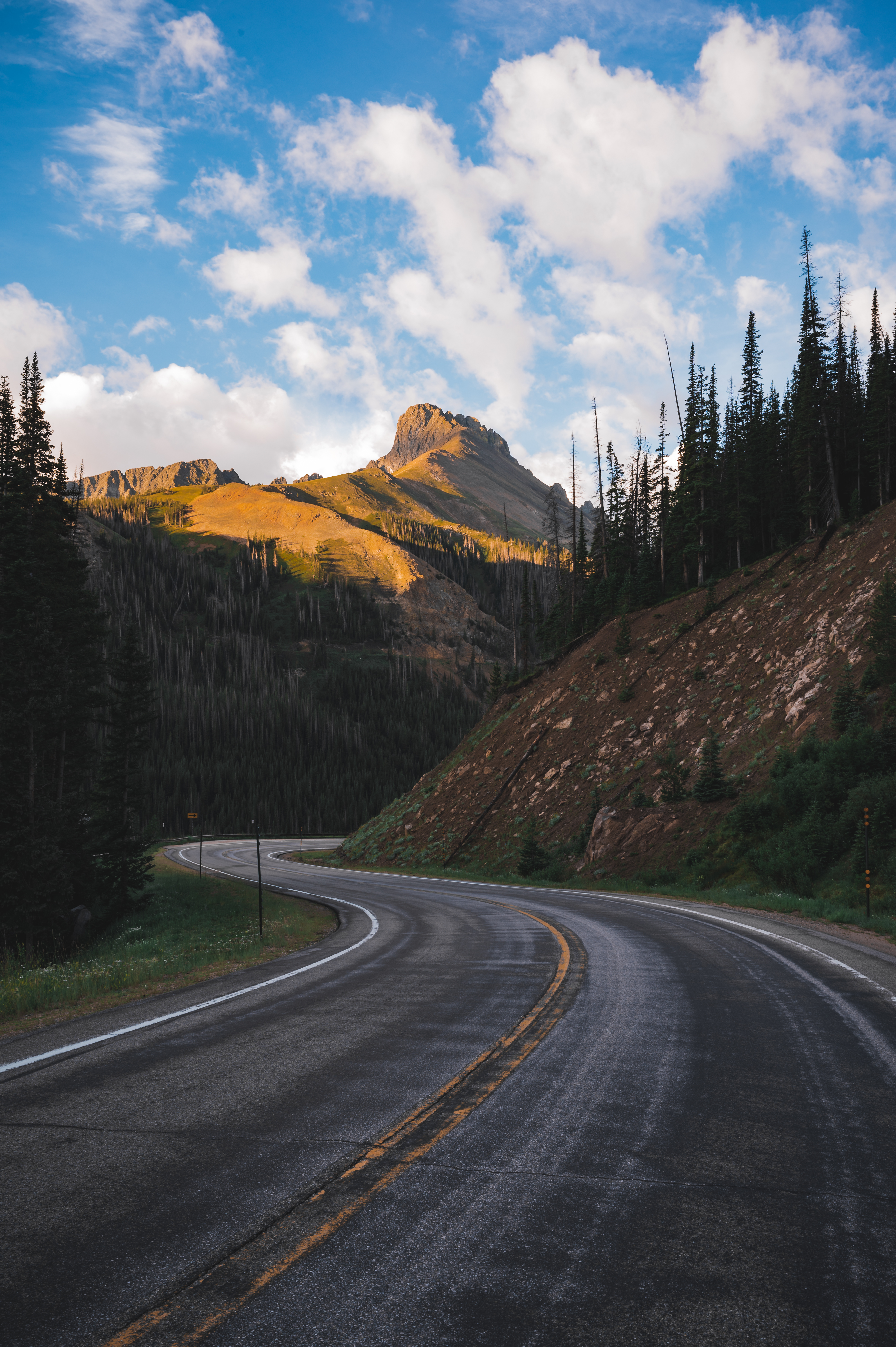 The Long Road Home