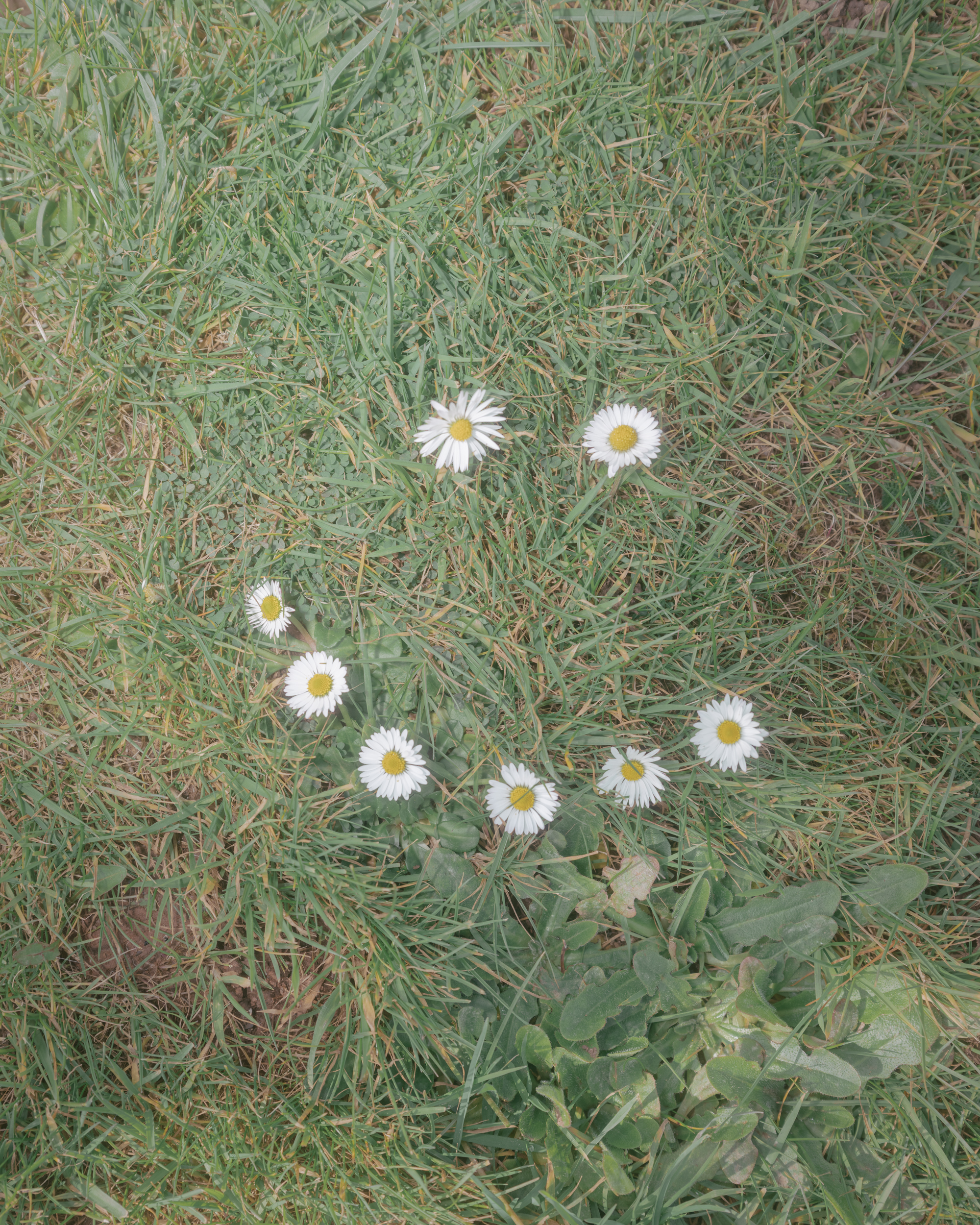 PhotoFilePhrens #47