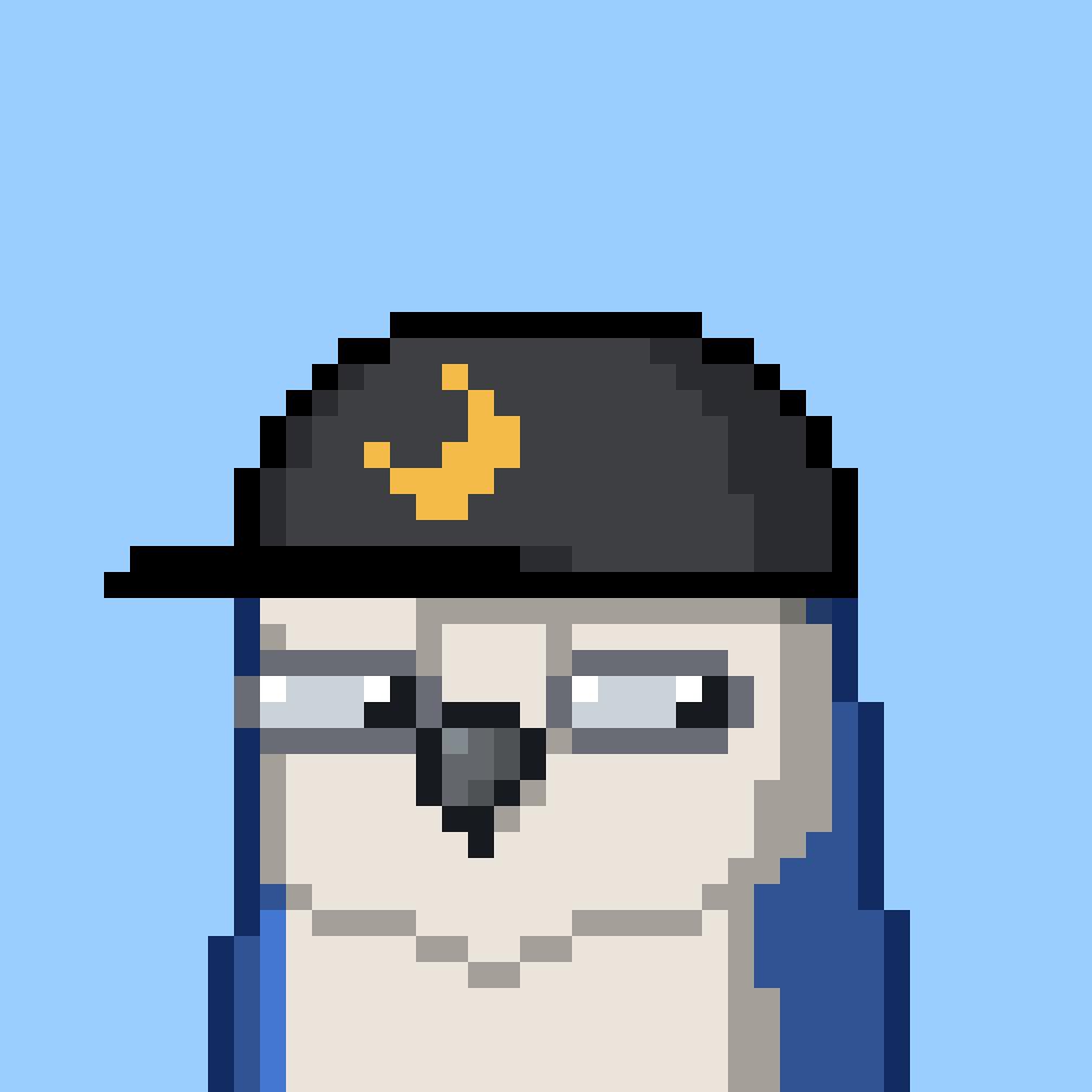 Moonbhirds #1140