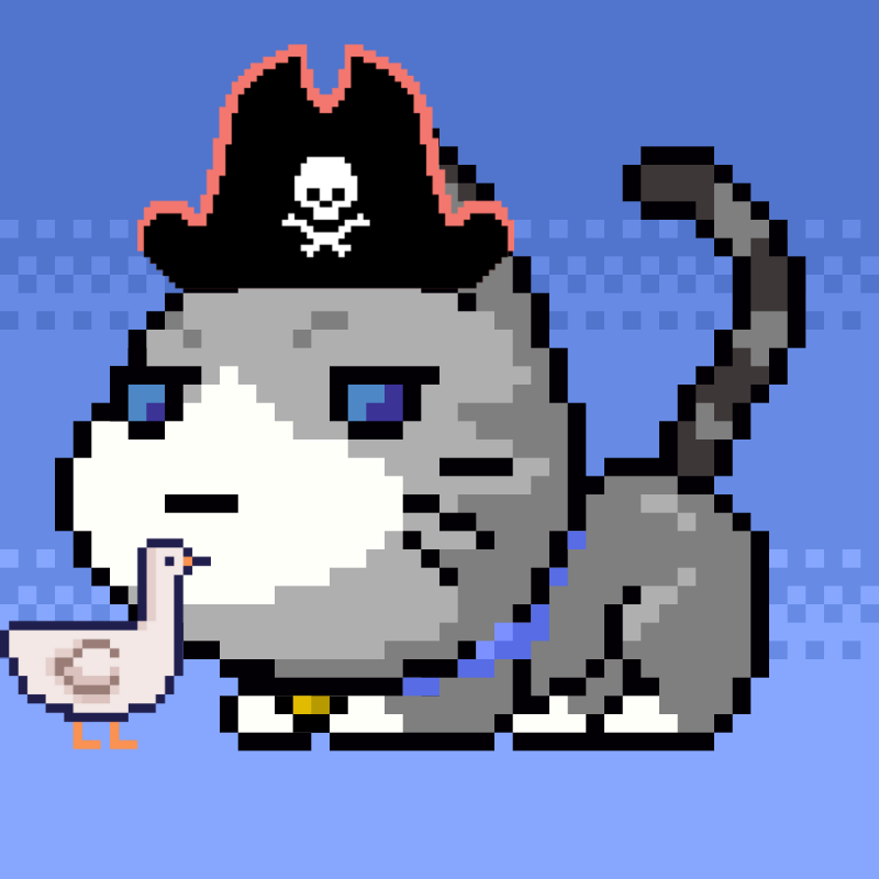 Catxoxo #2202