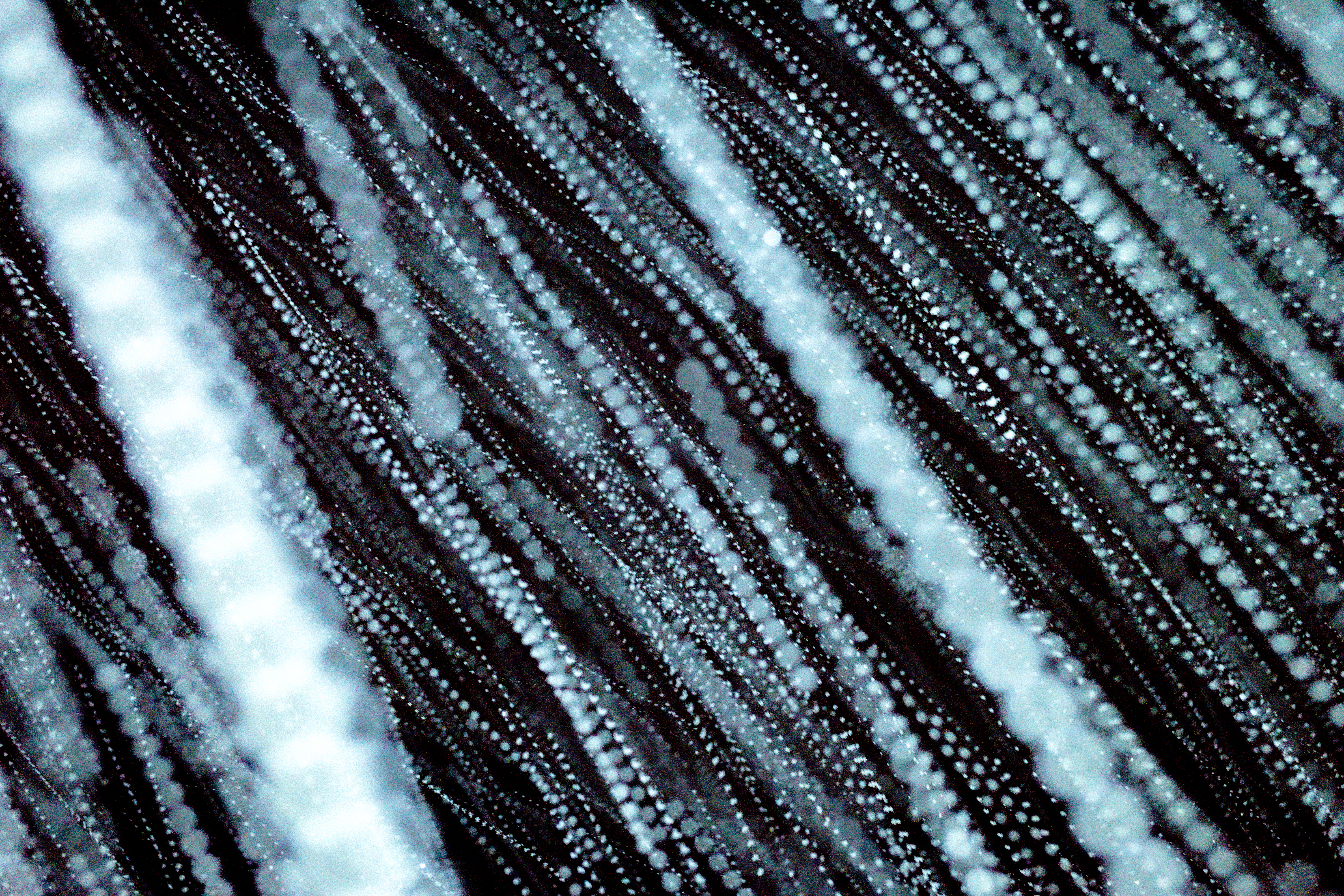 L1210129 : An omen of the skies