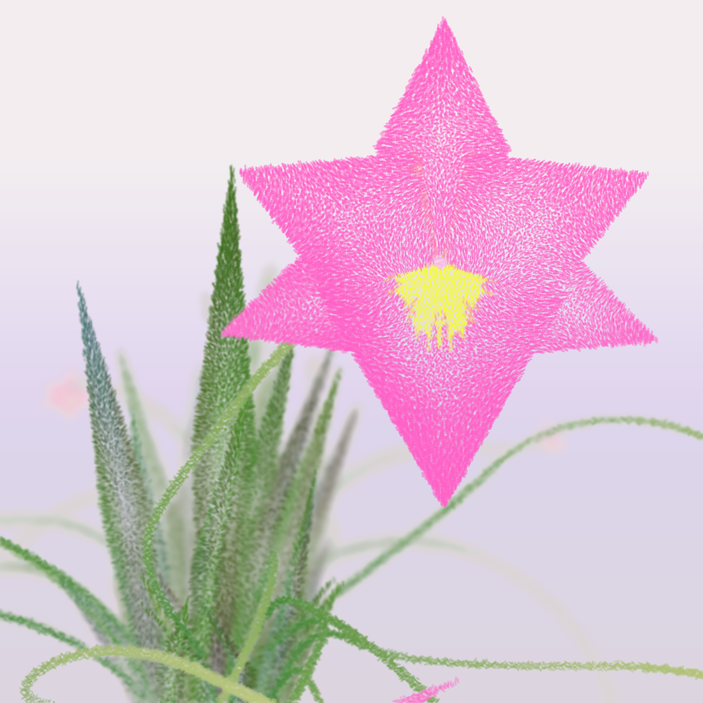Cattleya #5