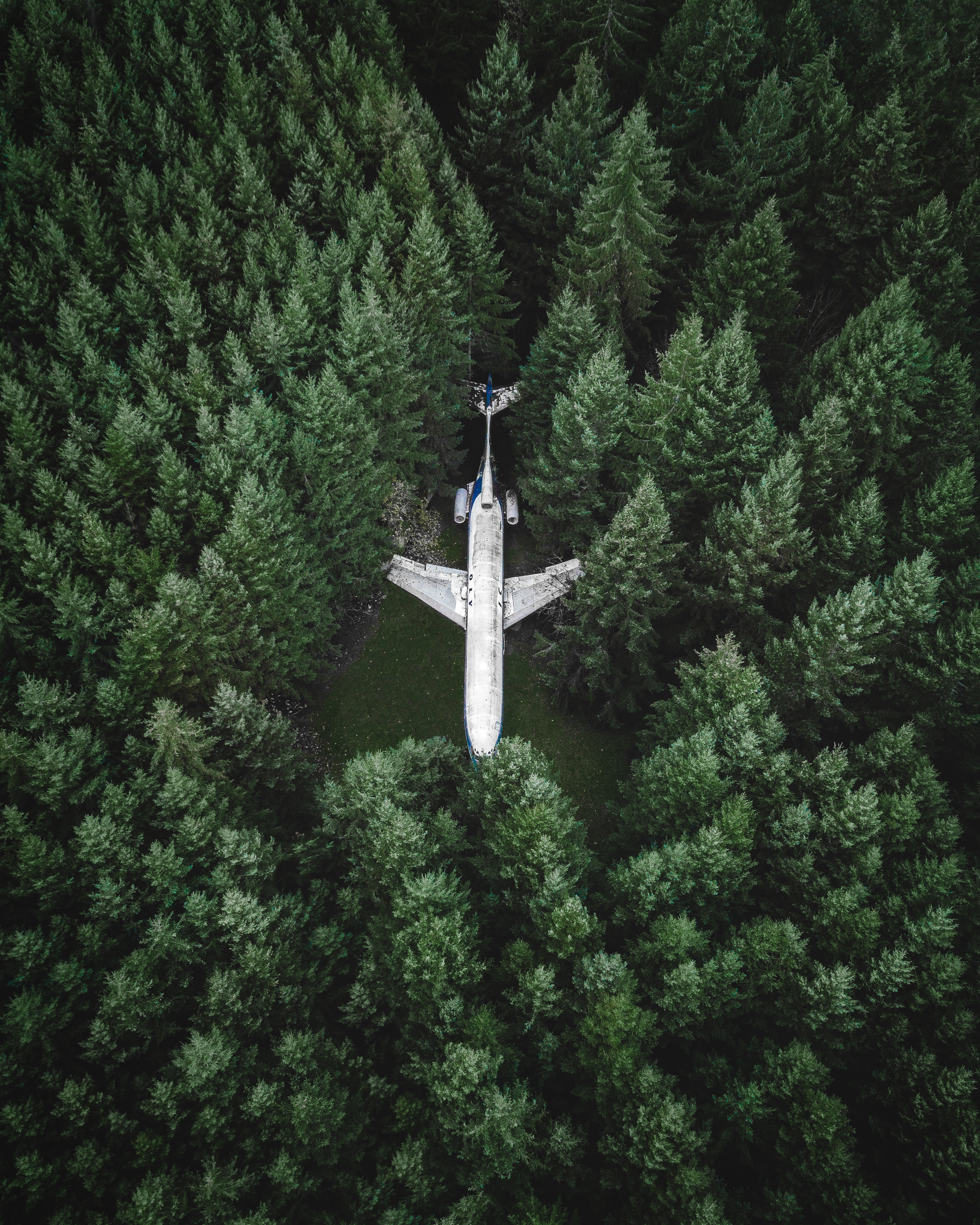 Lost in the Forest #13/42