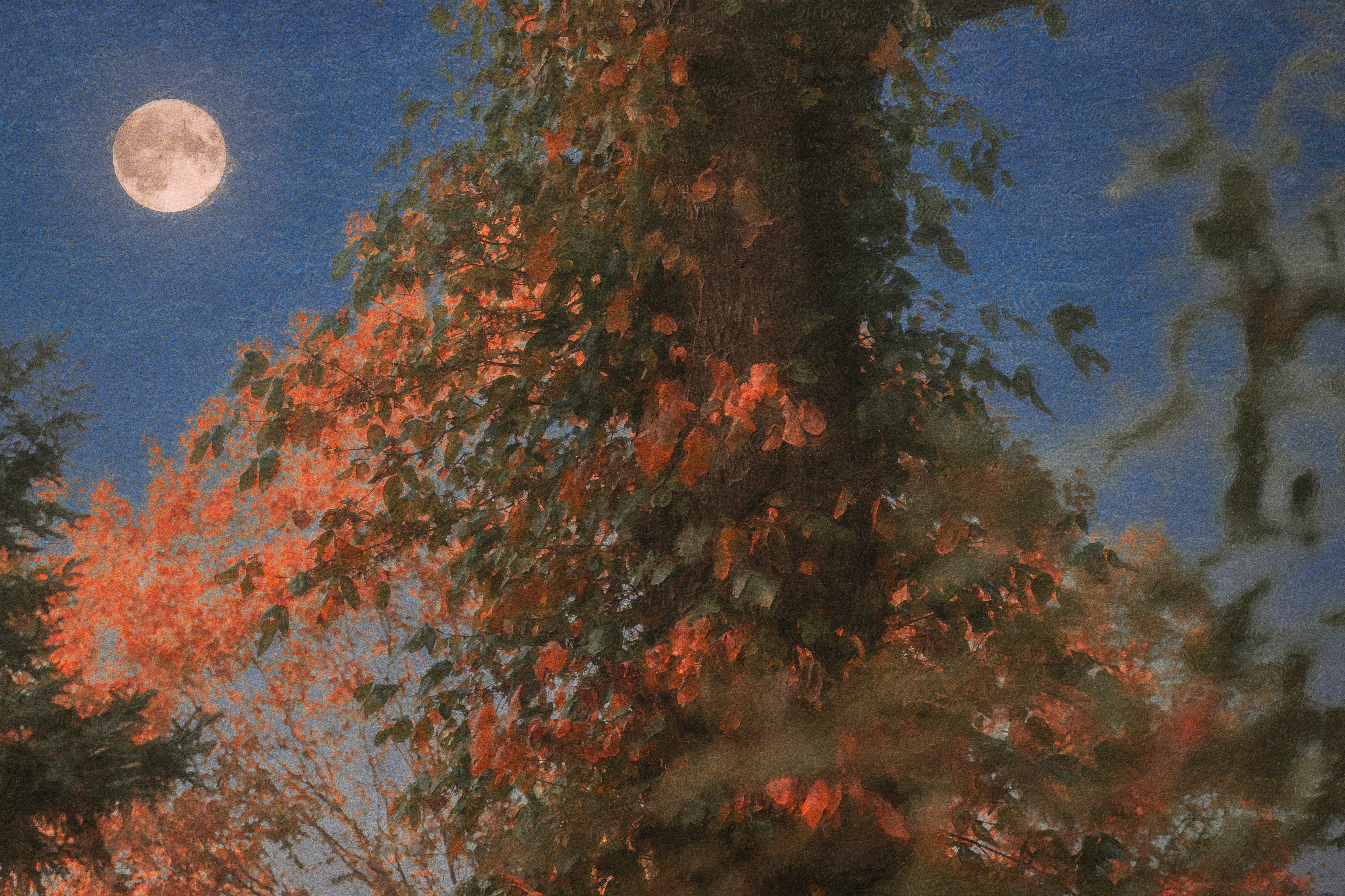 Amidst a Transitionary State
