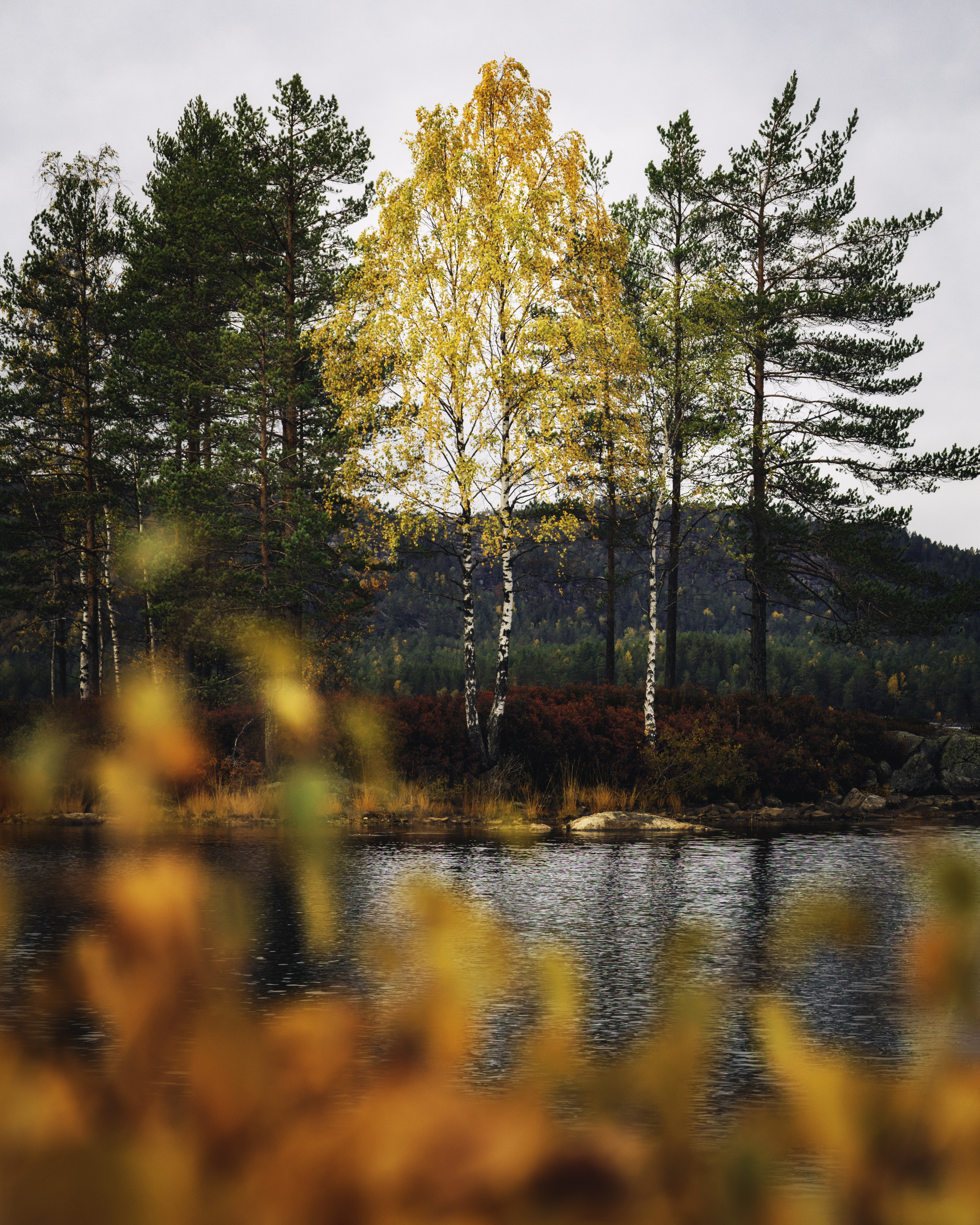 #9. Autumn Island