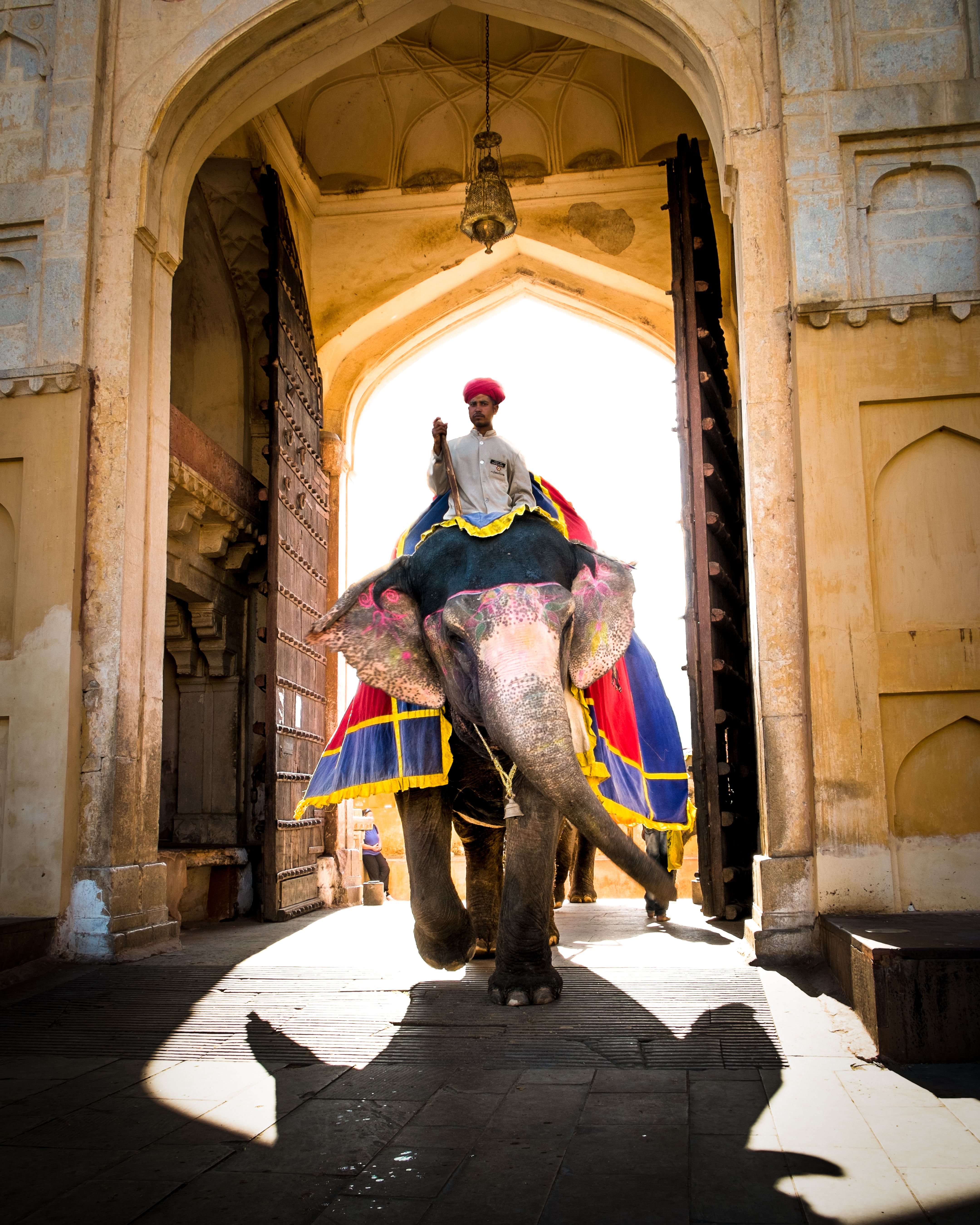 Elephant Ride #11/15