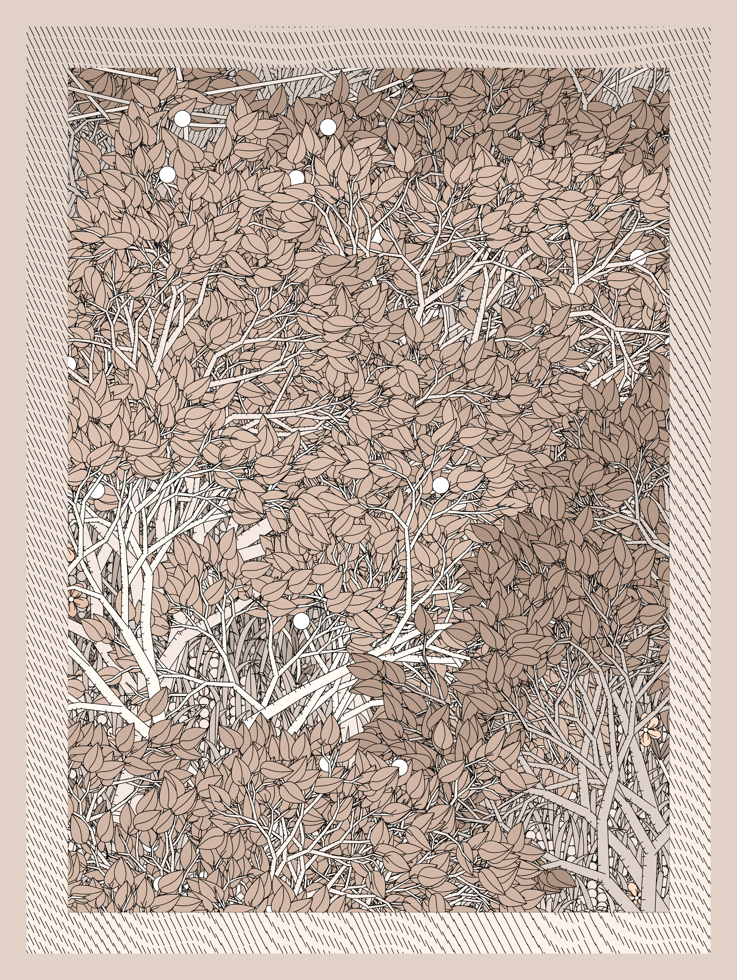 Entangled #51
