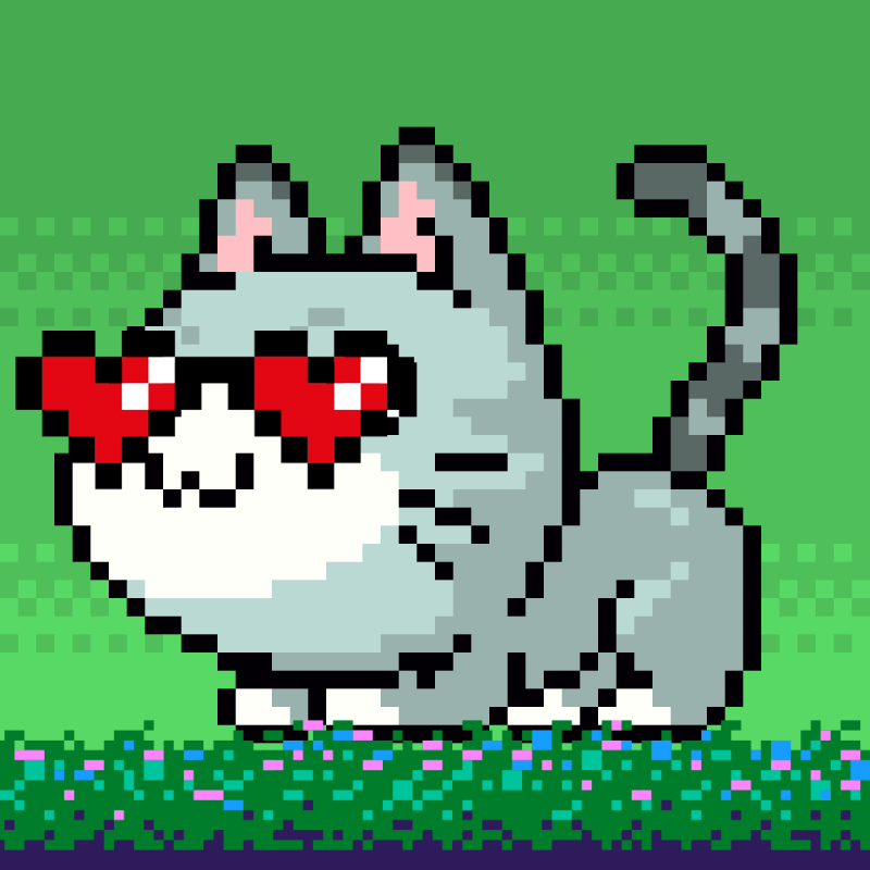 Catxoxo #2211