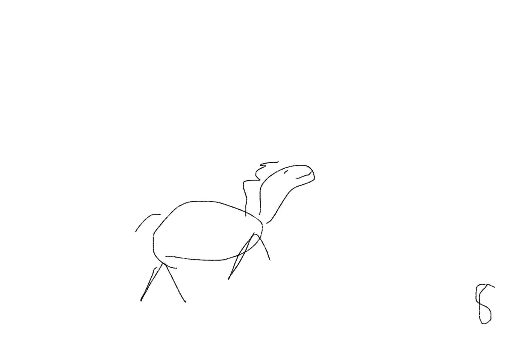 horse