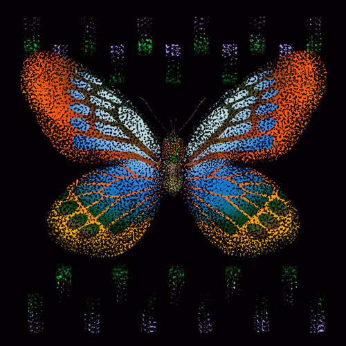 Monarch #63