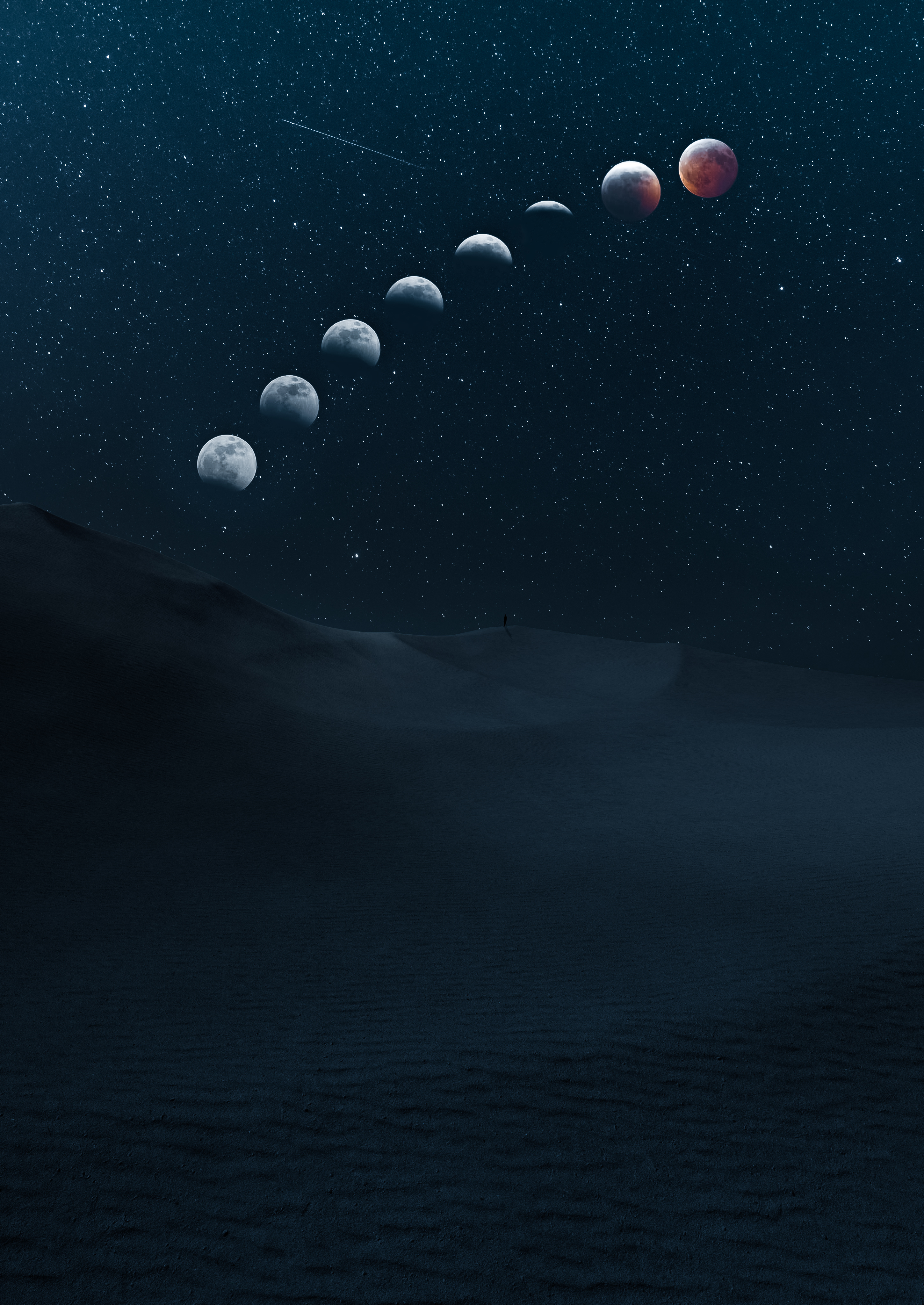 DUNESCAPE XXIV