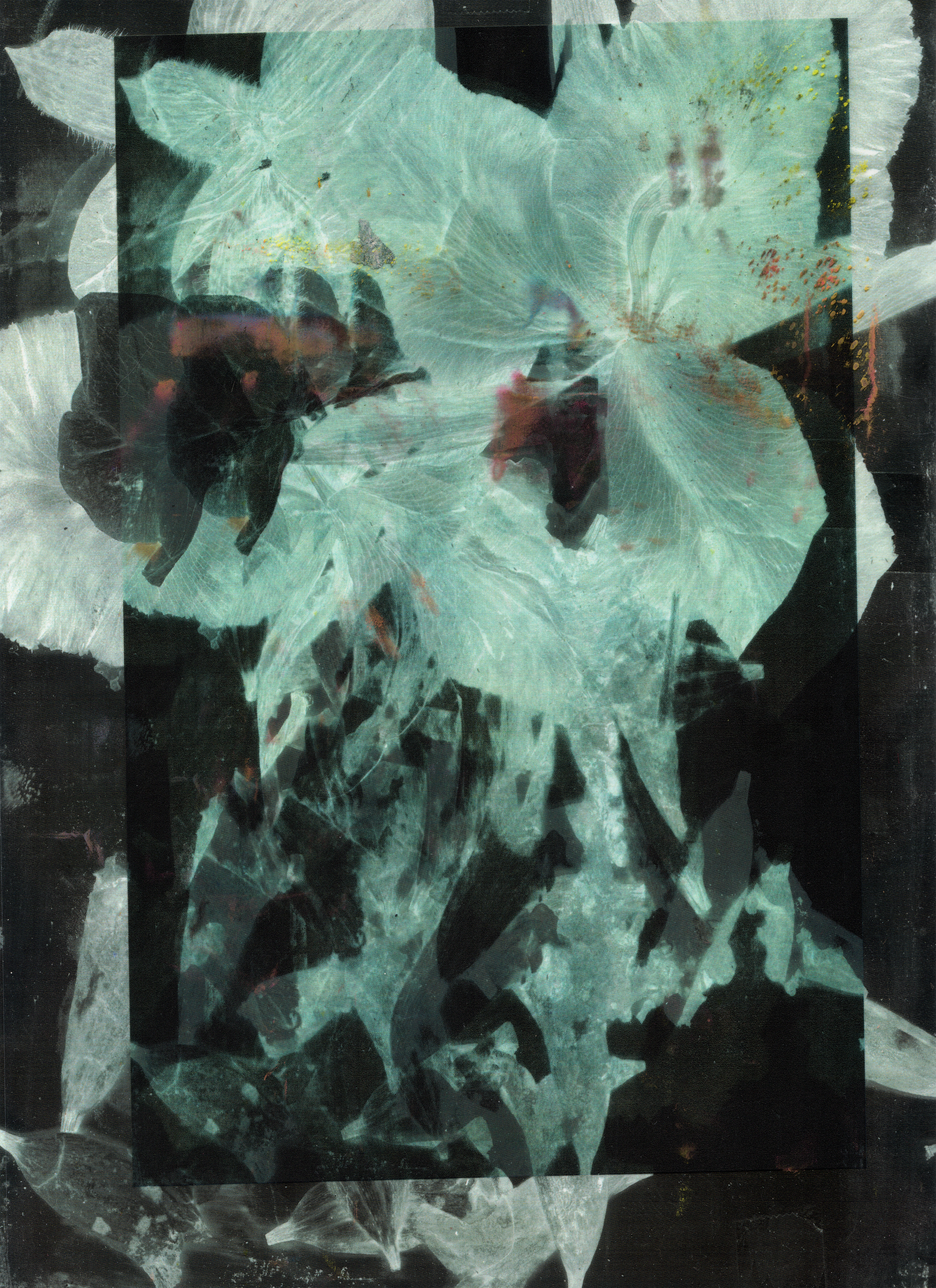 Dead Flowers I