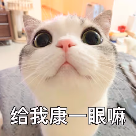 rrr9