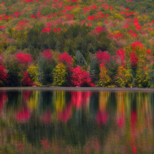 Mirascapes 791