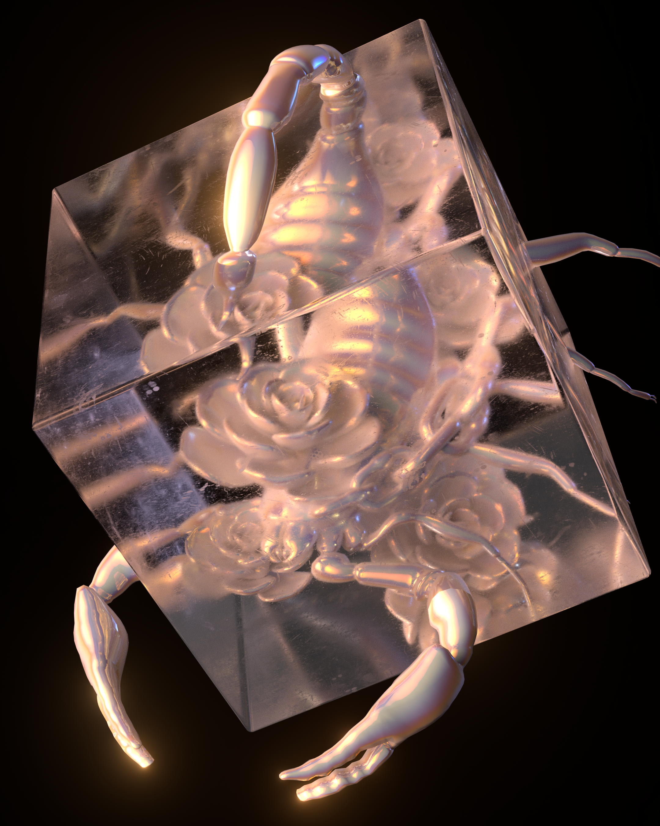 PEARL CREATION//