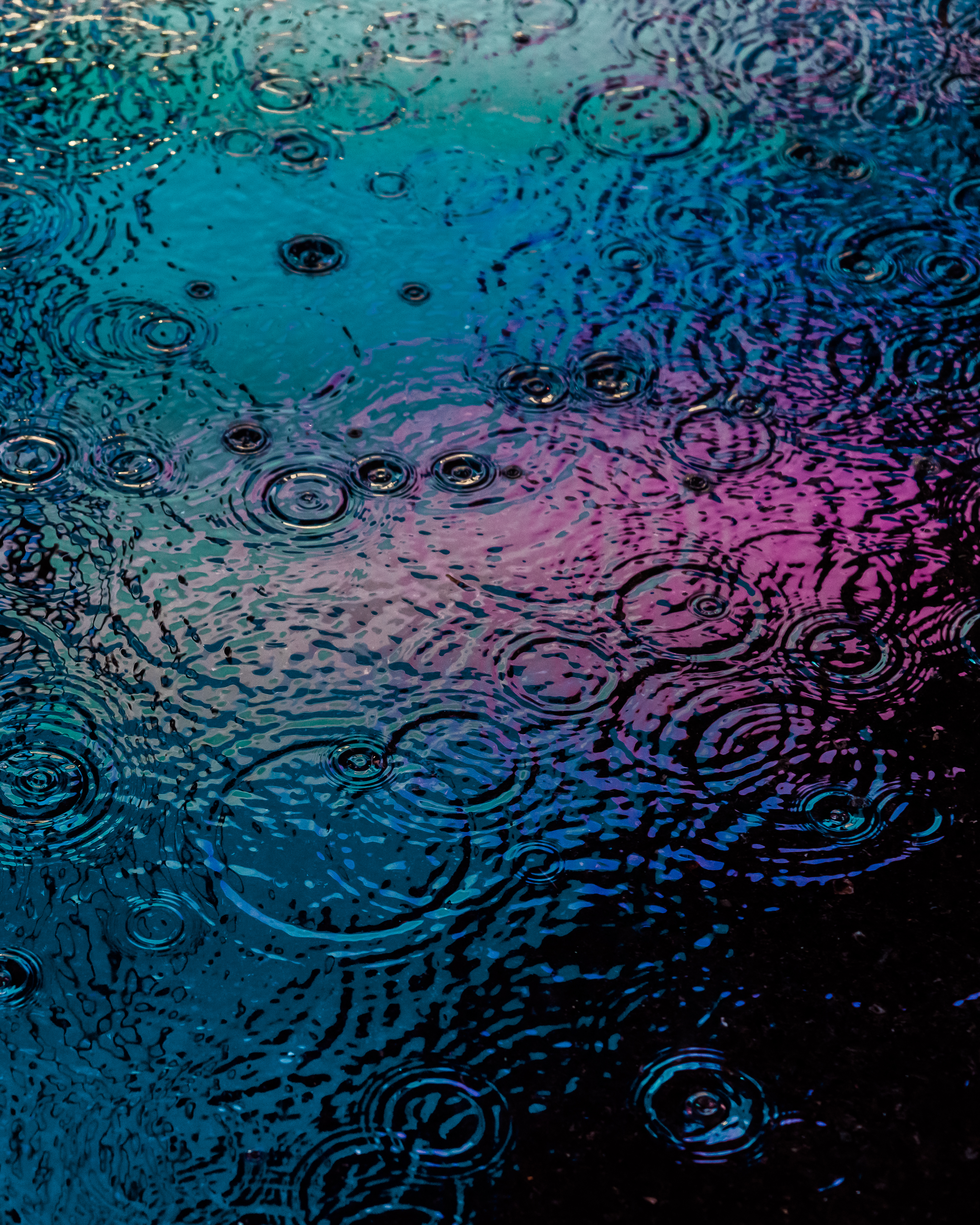 DRIP #292