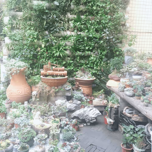 scenery