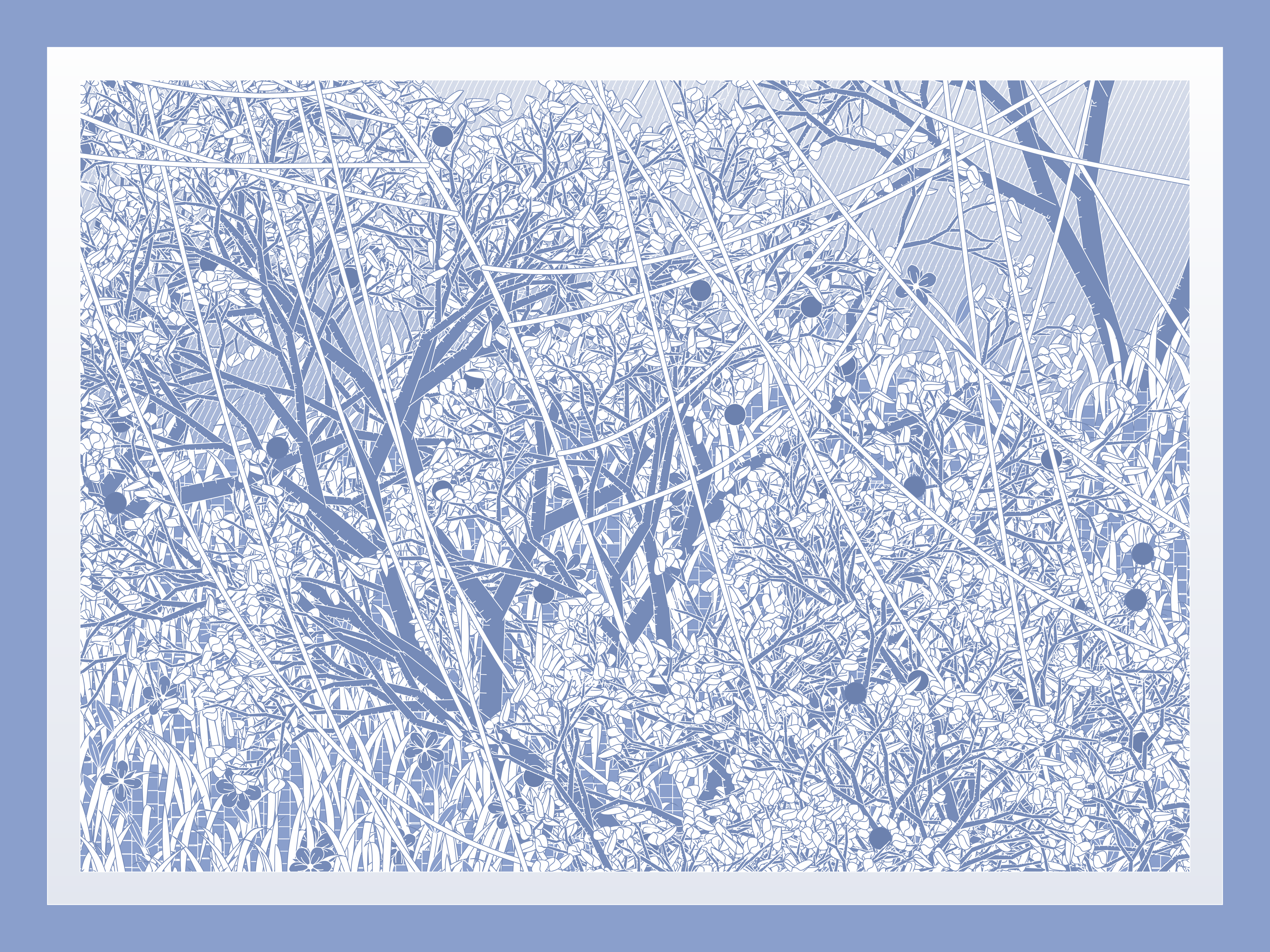 Entangled #222