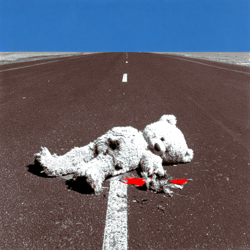 wear and   tear bear