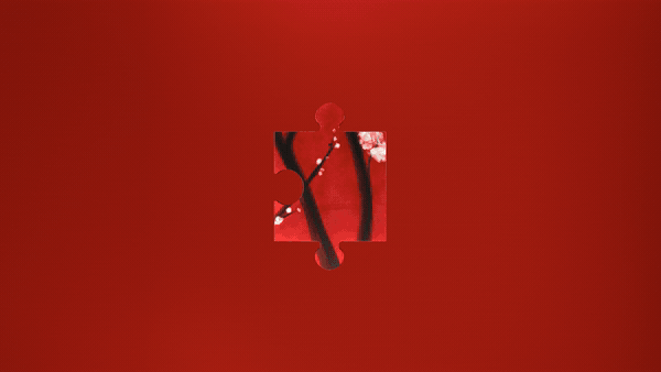 Fragment 21