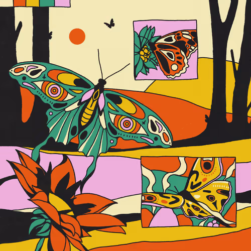 Moth Valley Origins