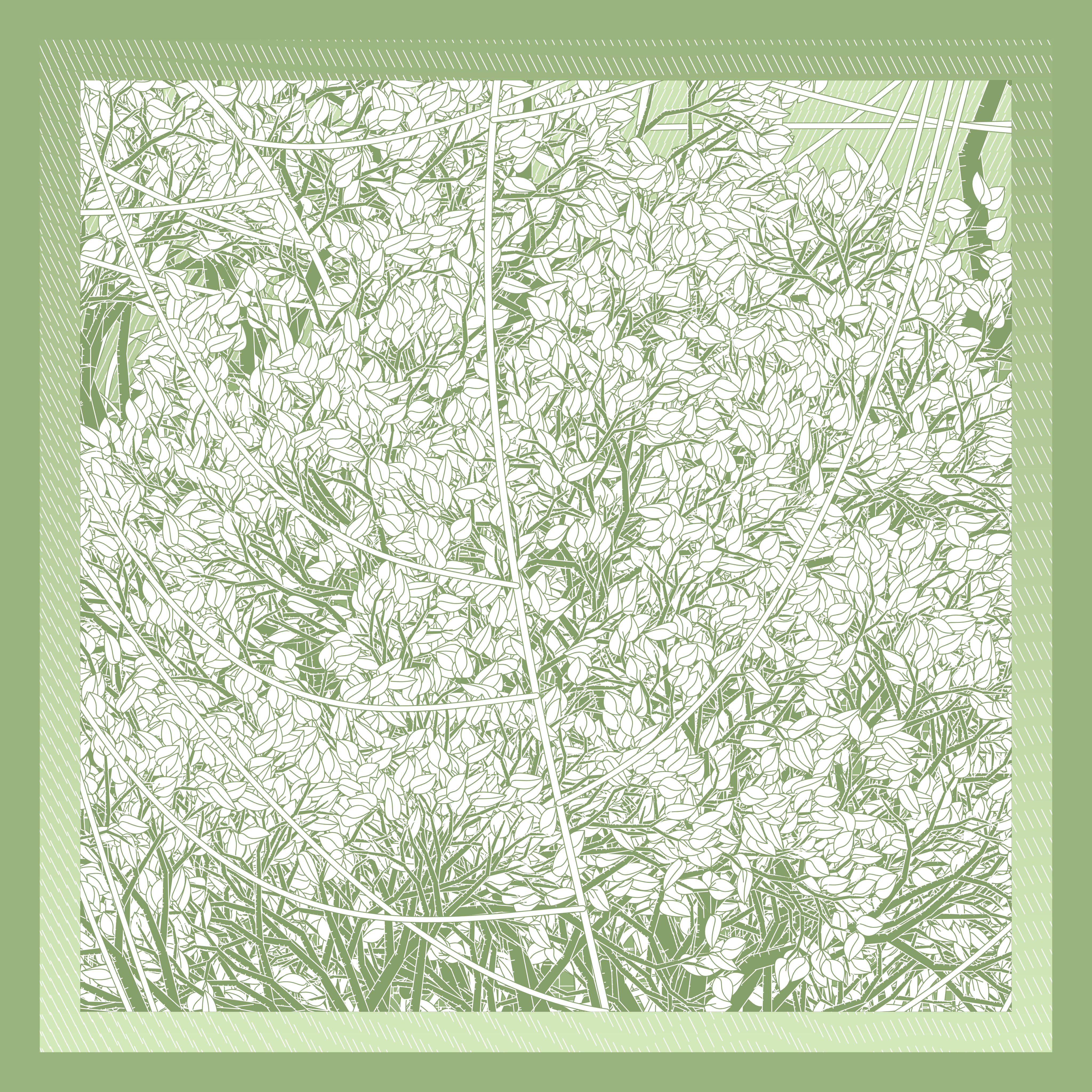 Entangled #220