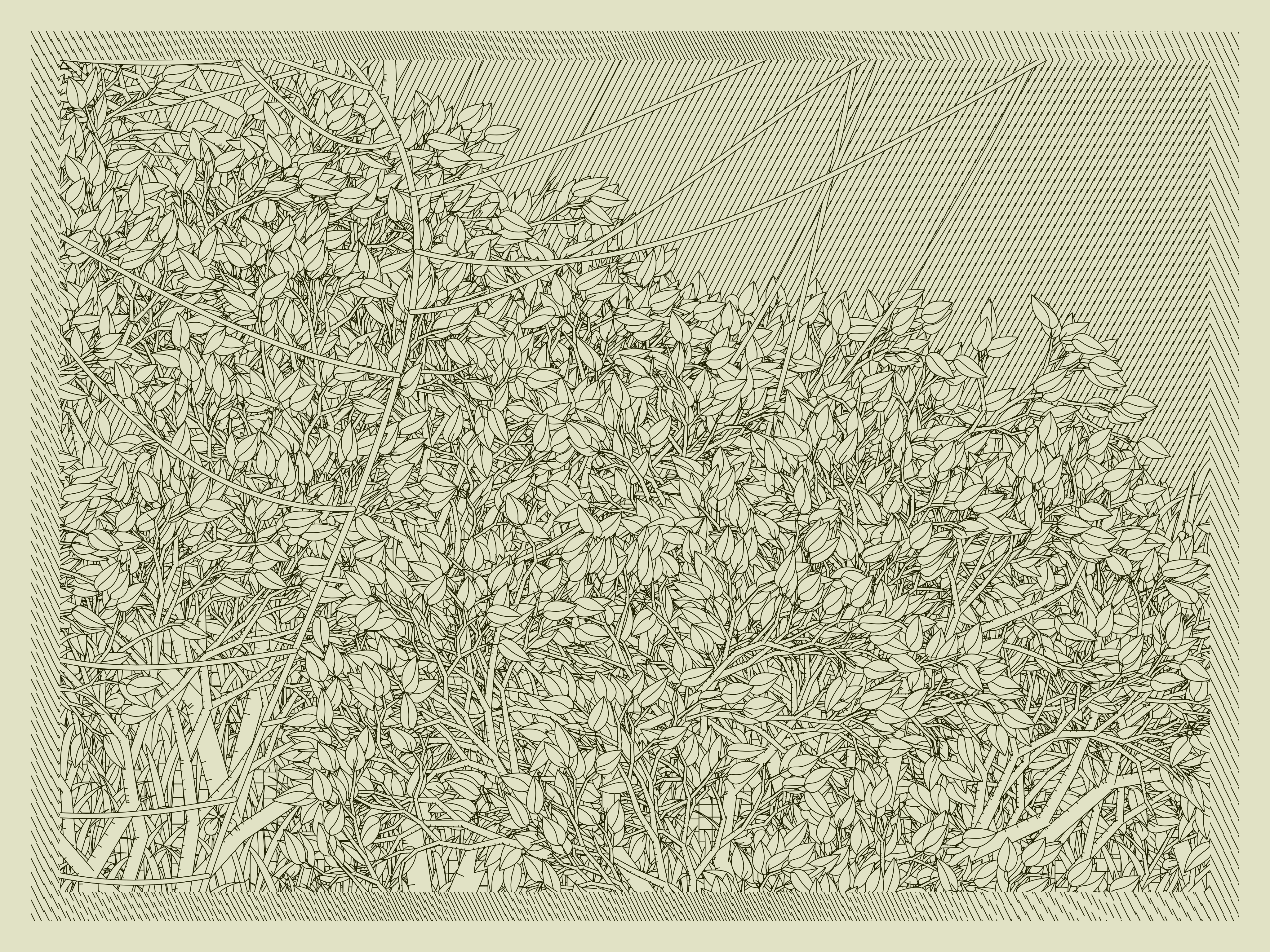 Entangled #16
