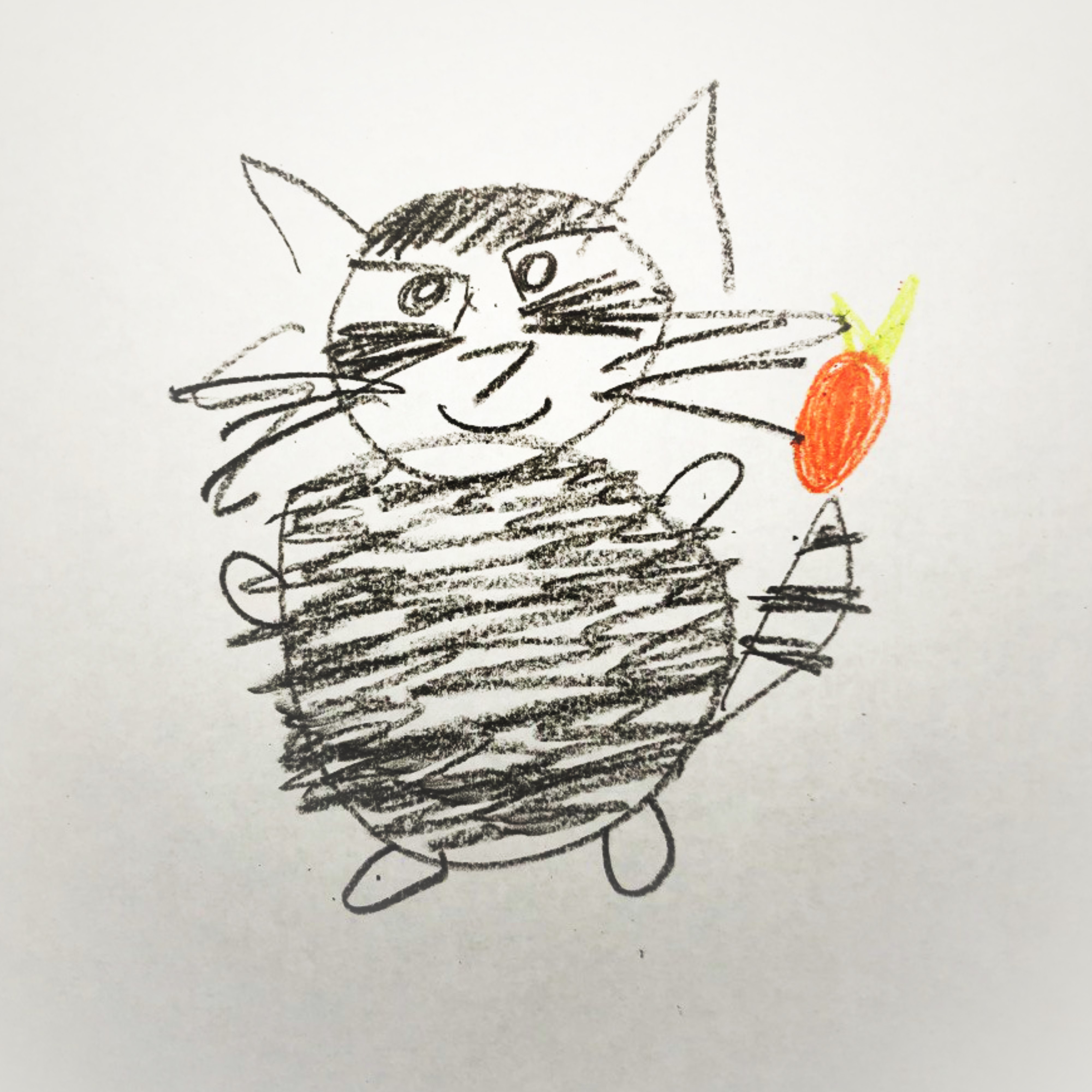 Mango 16